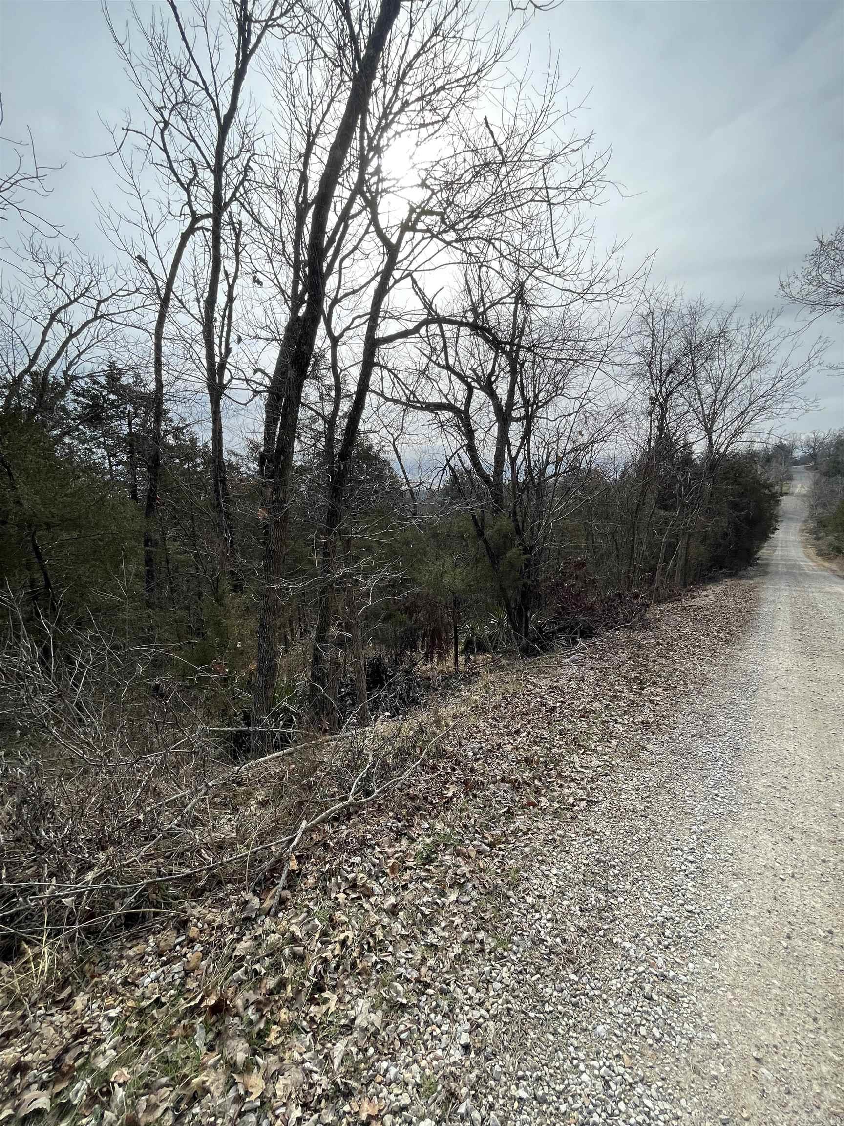 Lot 116  Green Haven  Mountain Home, AR