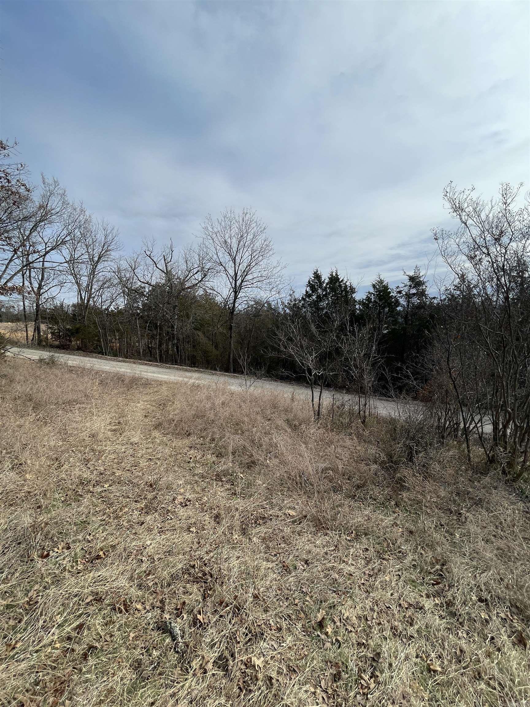 Lot 116  Green Haven  Mountain Home, AR