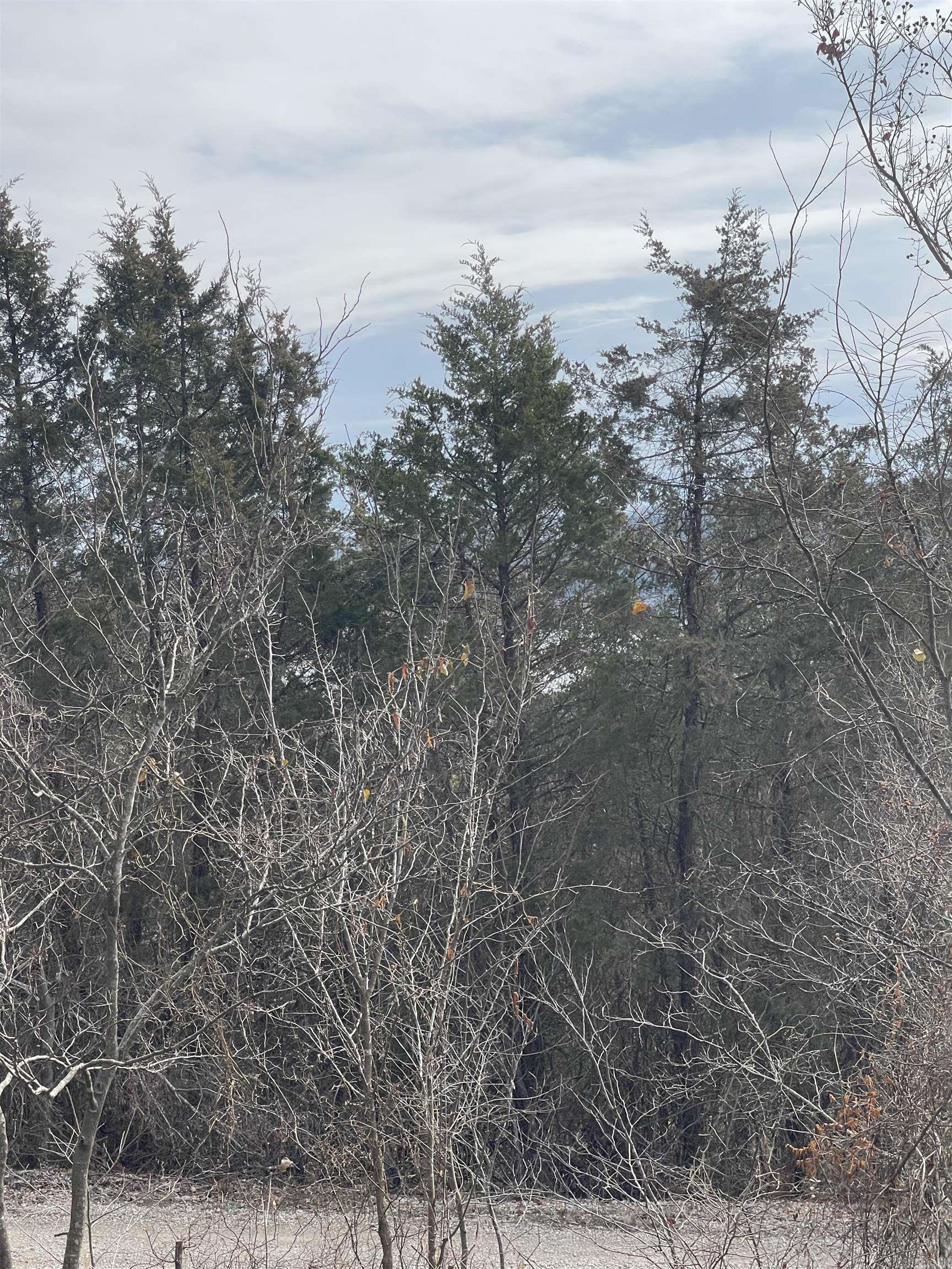 Lot 116  Green Haven  Mountain Home, AR