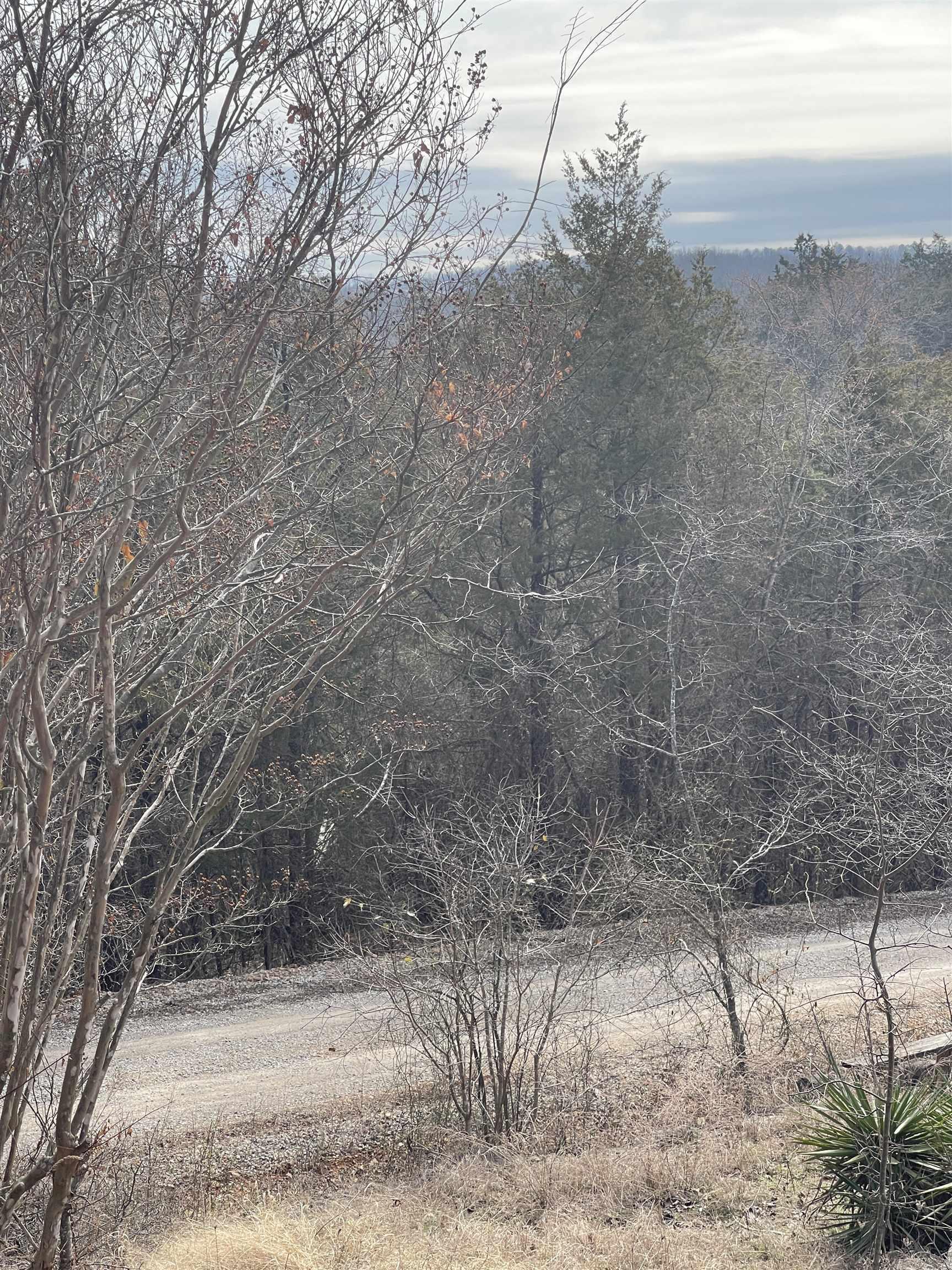 Lot 116  Green Haven  Mountain Home, AR