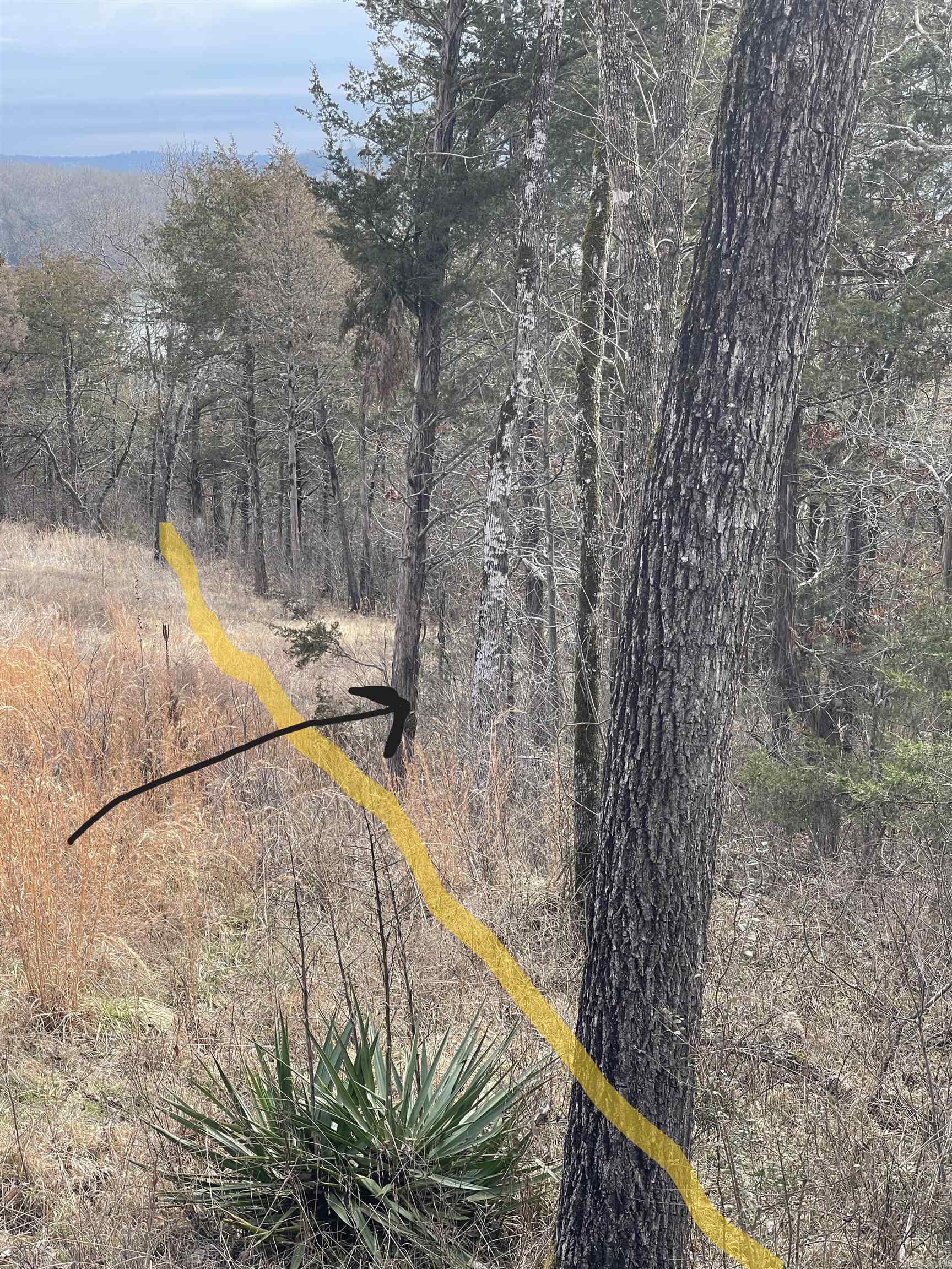 Lot 116  Green Haven  Mountain Home, AR