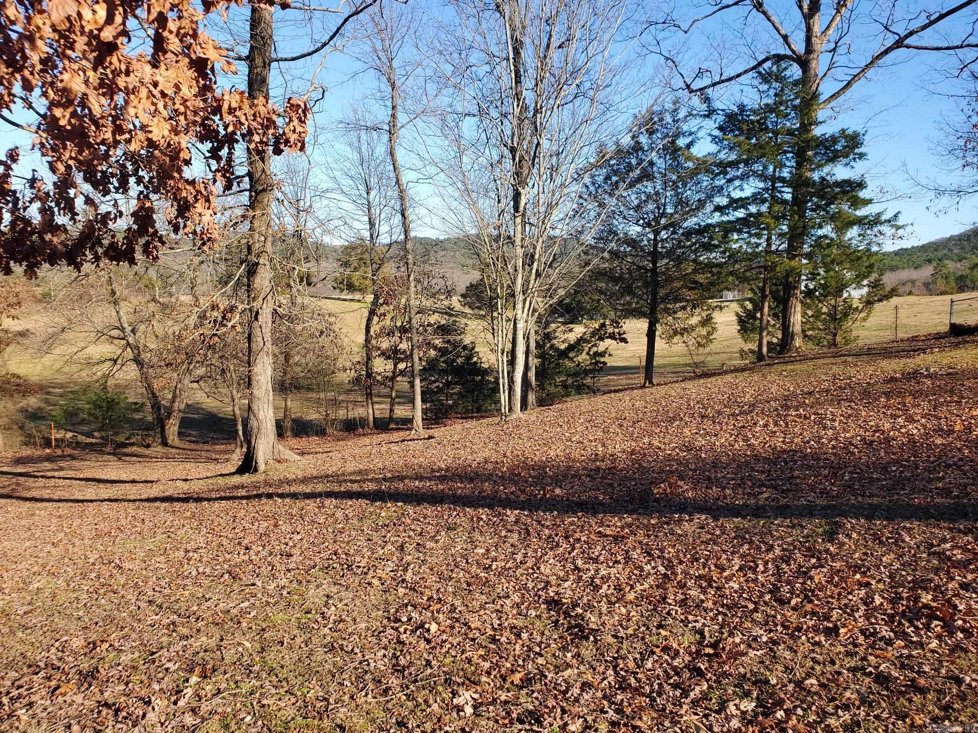 281  Polk Road 412  Mena, AR