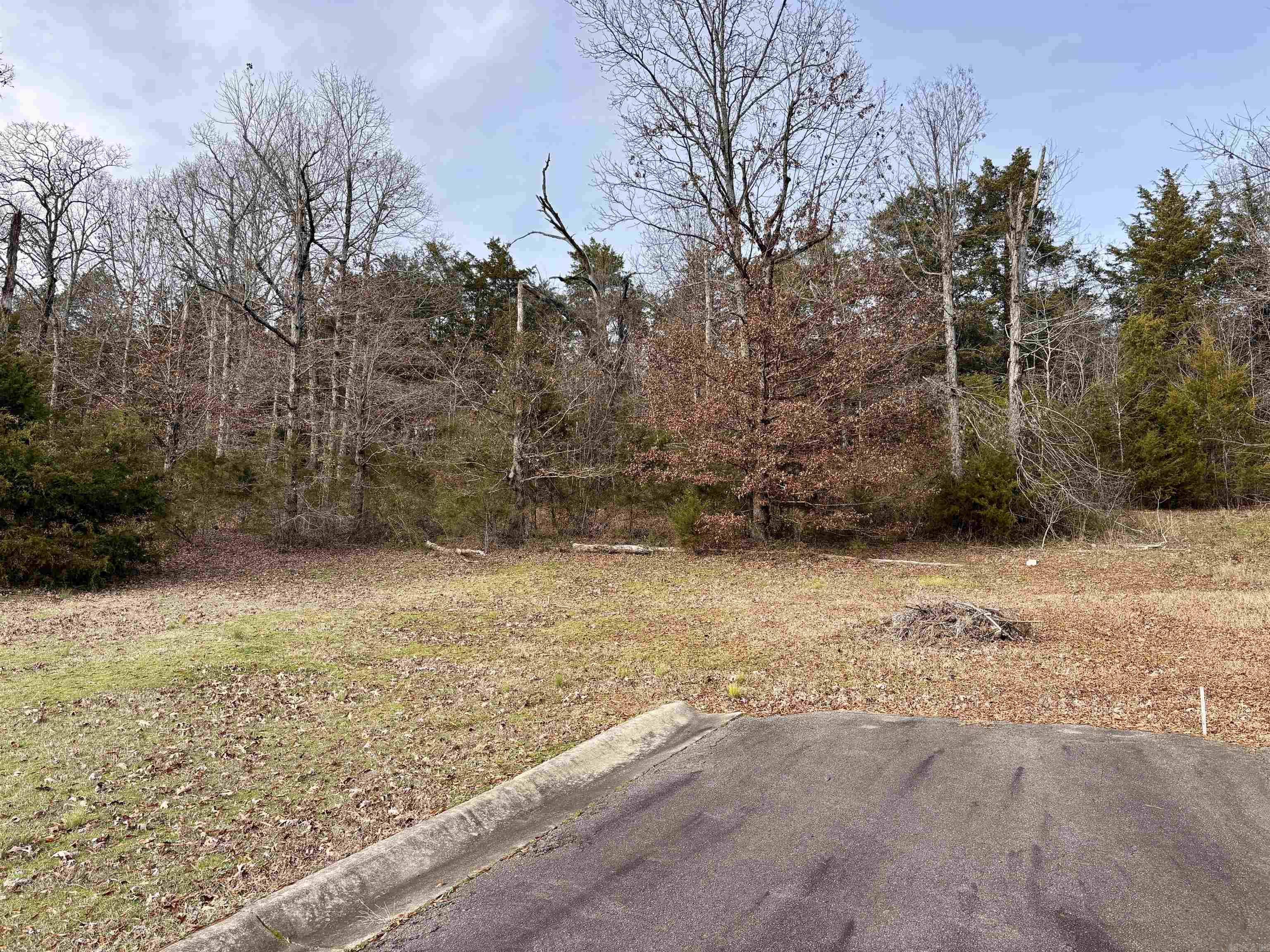 Block 1  lots 13 & 14  Morrilton, AR