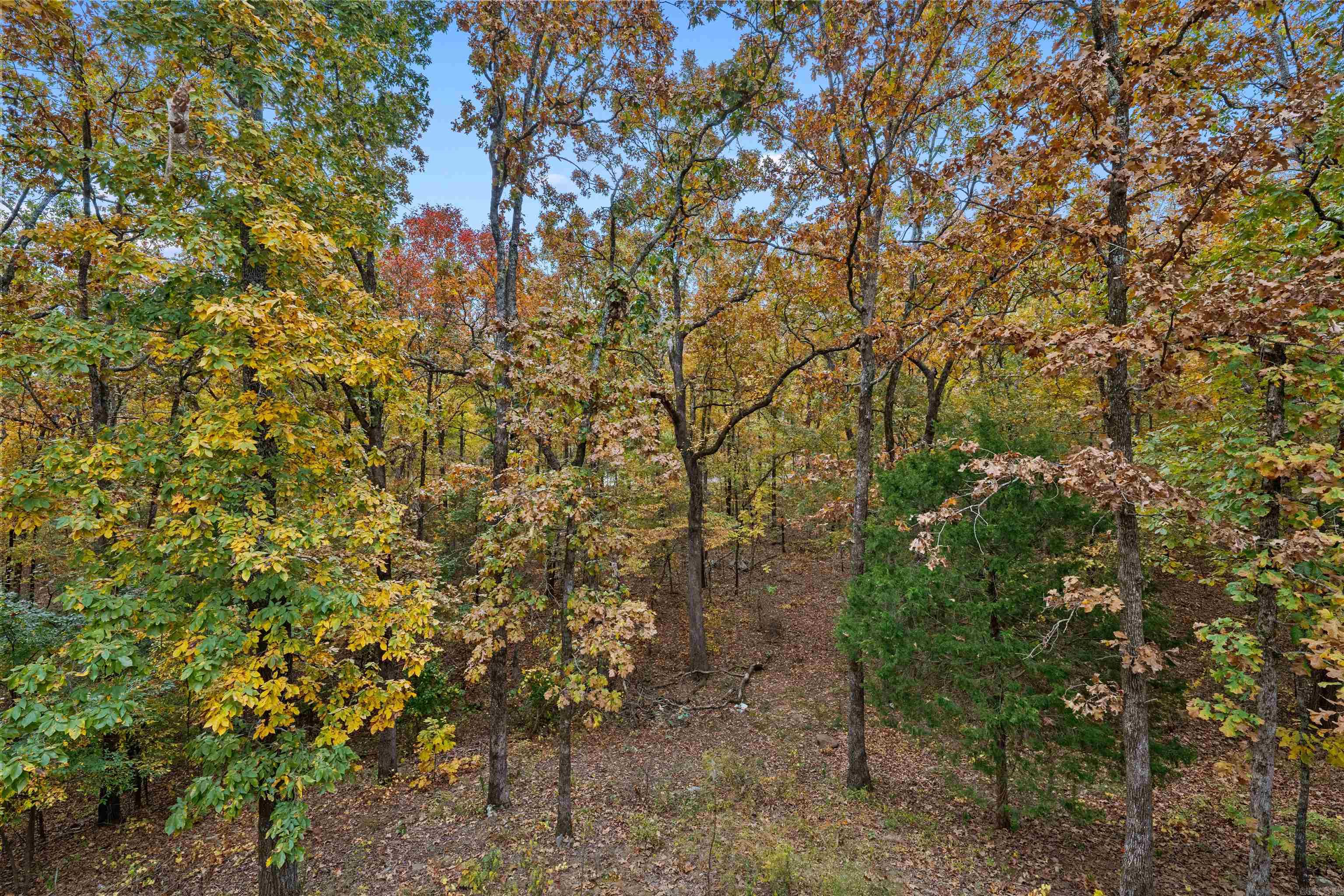 227  Hilltop Road  Cabot, AR