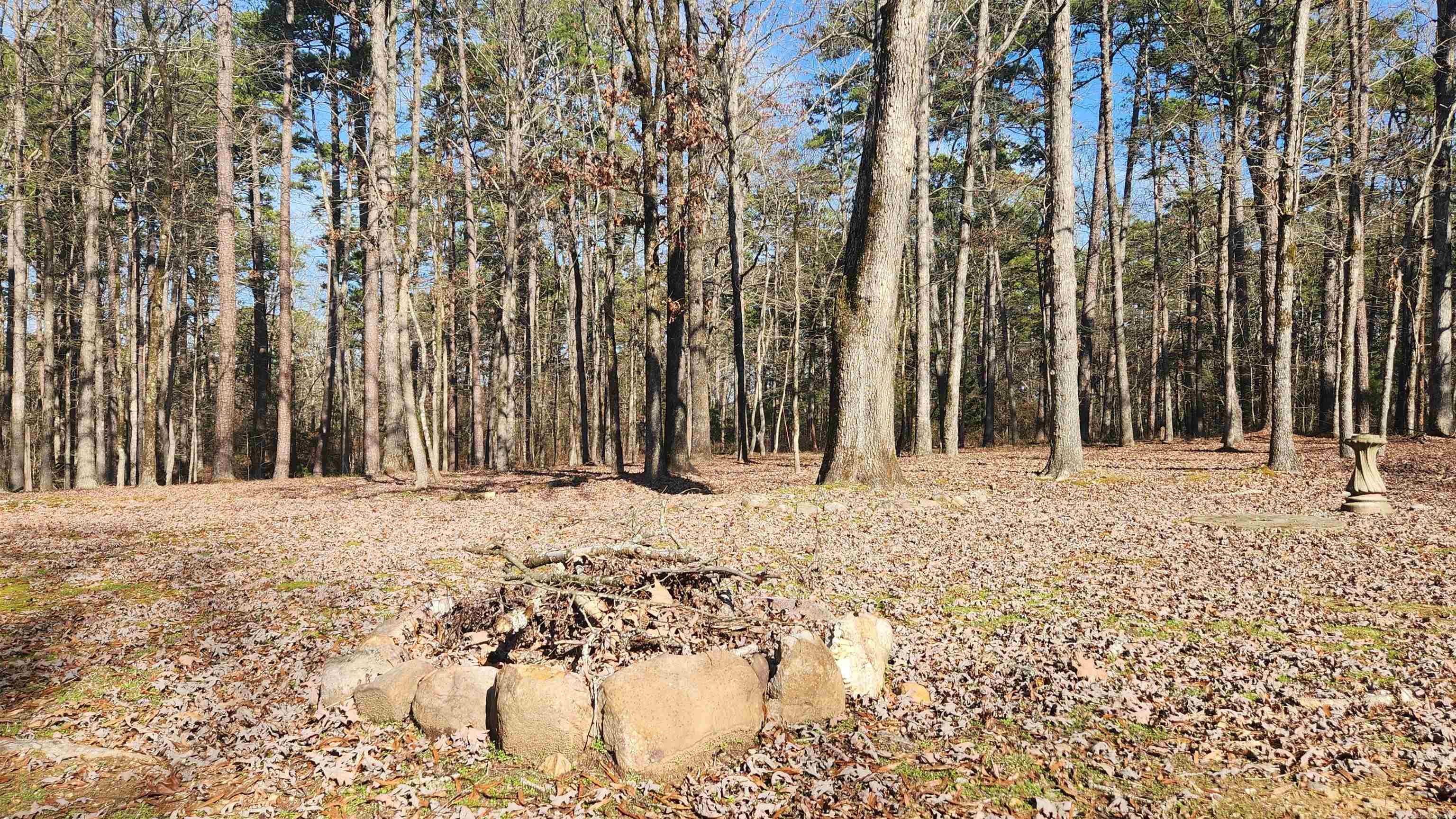 88  Oakwood Rd  Mount Ida, AR