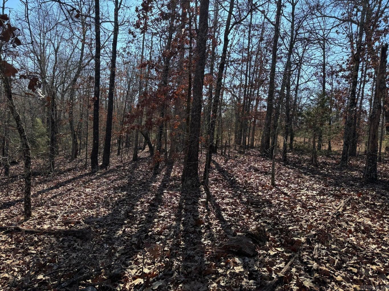 60  A Tablerock  Evening Shade, AR