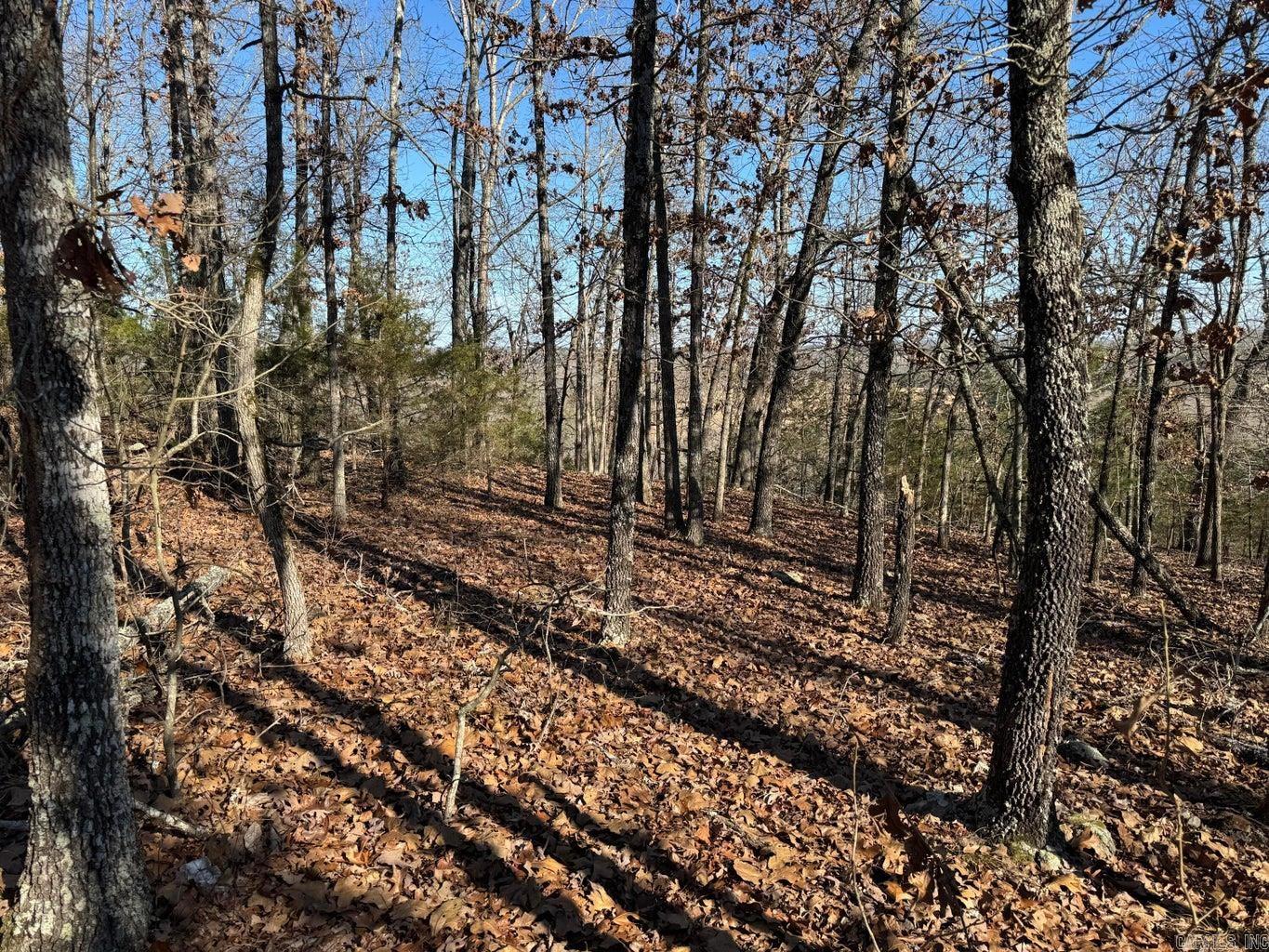 60  A Table Rock  Evening Shade, AR