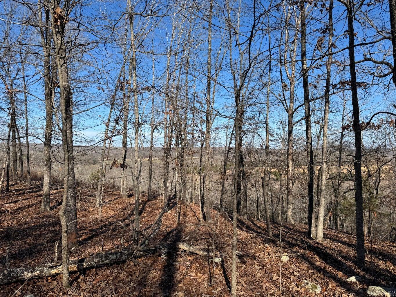 60  B Tablerock  Evening Shade, AR