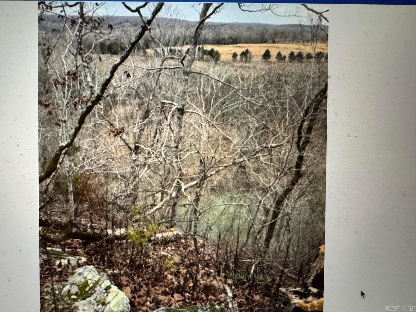 60  B Tablerock  Evening Shade, AR