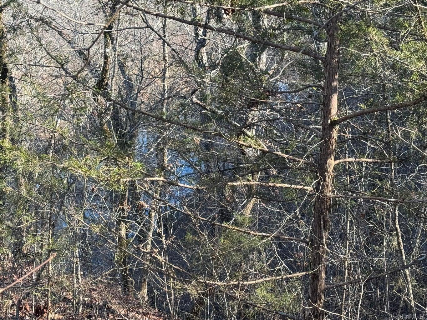 60  B Tablerock  Evening Shade, AR