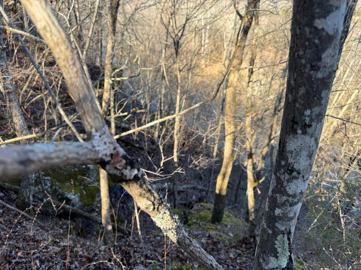 60  B Tablerock  Evening Shade, AR