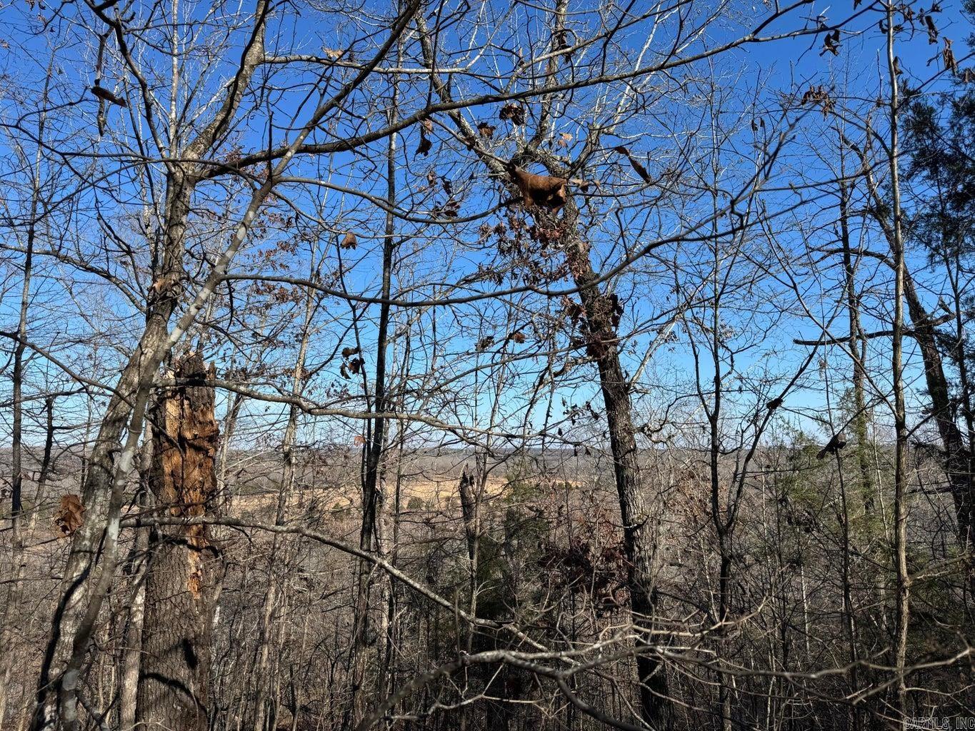 60  B Tablerock  Evening Shade, AR