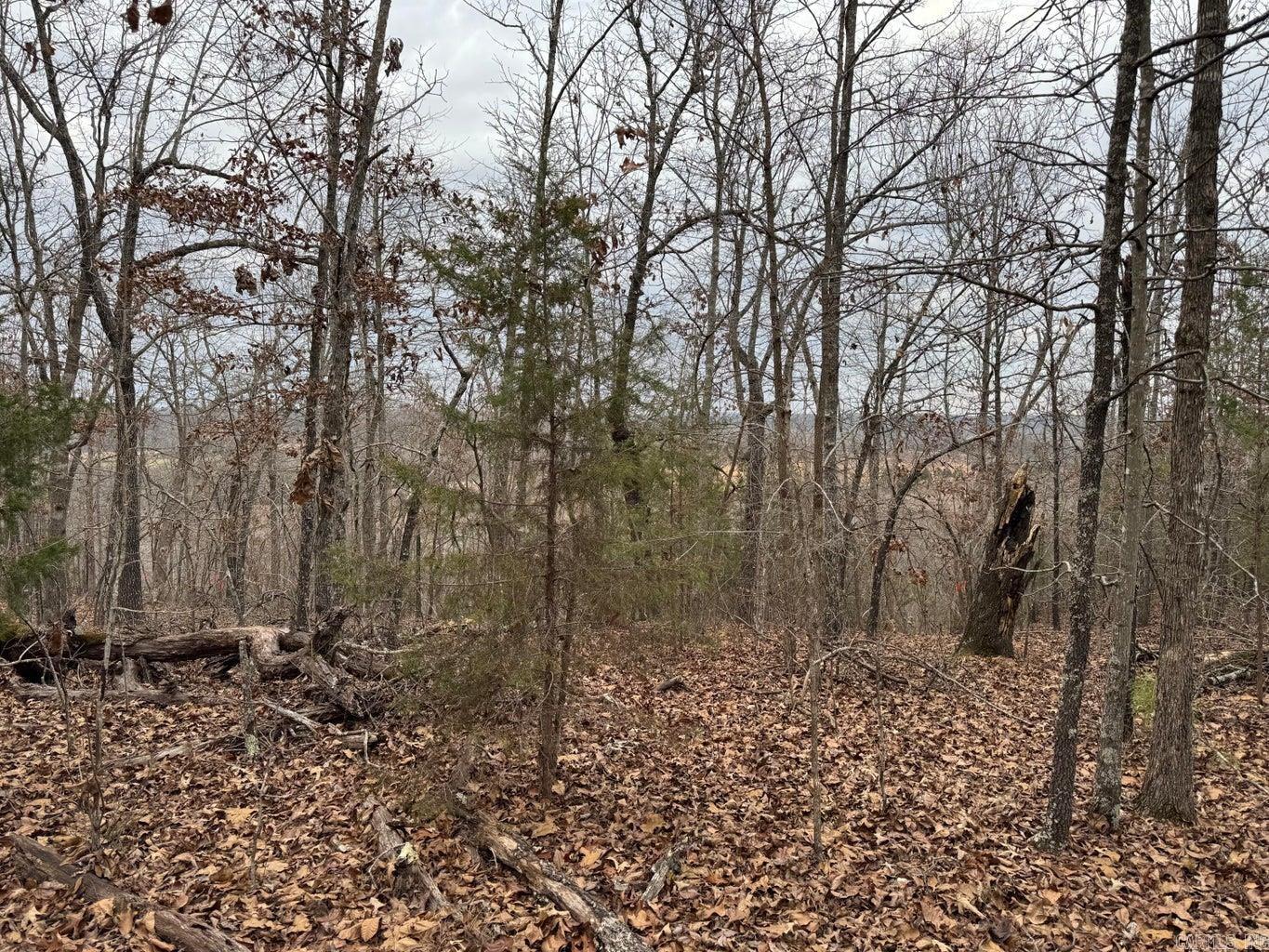 60  B Tablerock  Evening Shade, AR