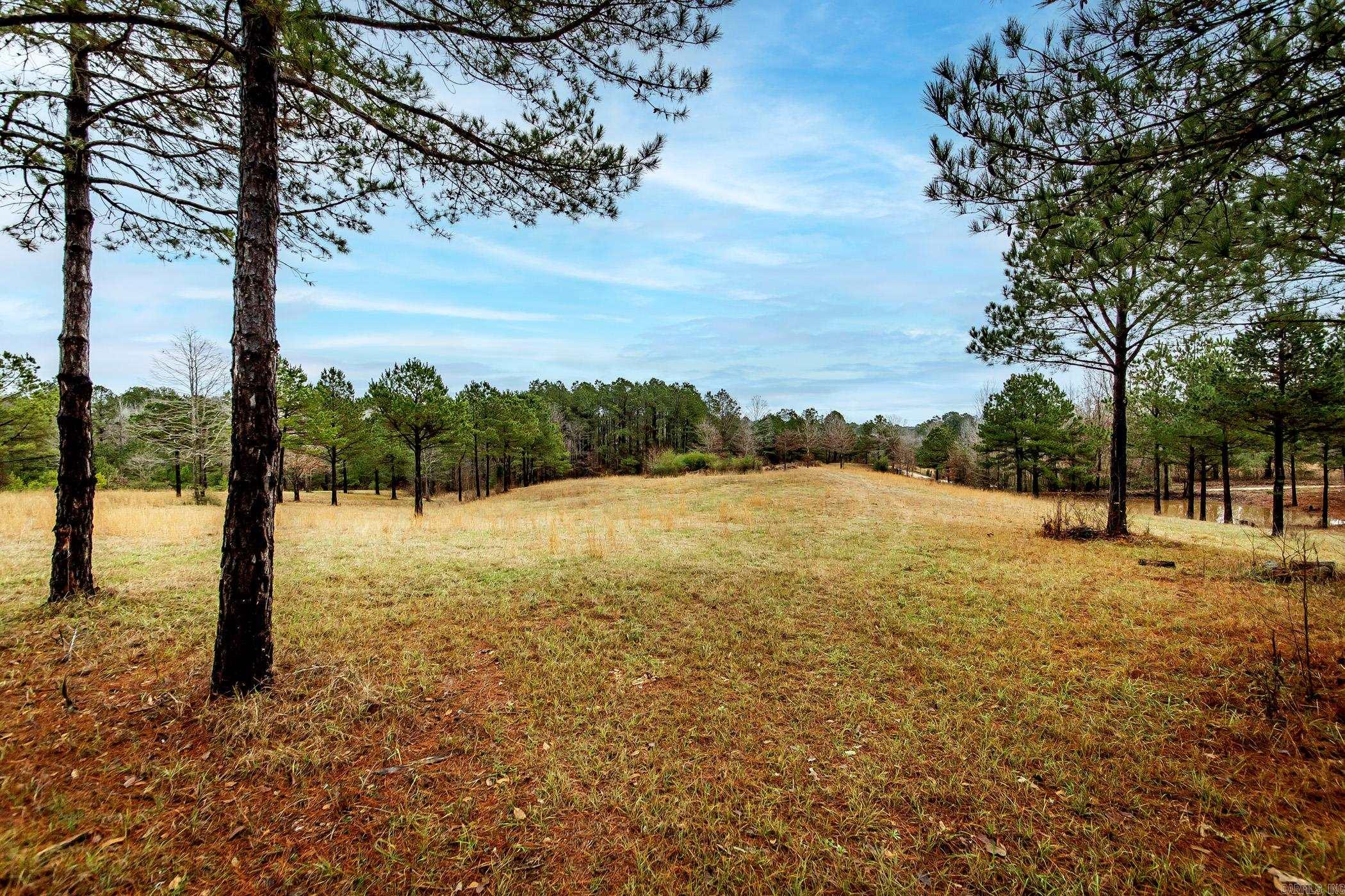 1852  Shiloh  Arkadelphia, AR