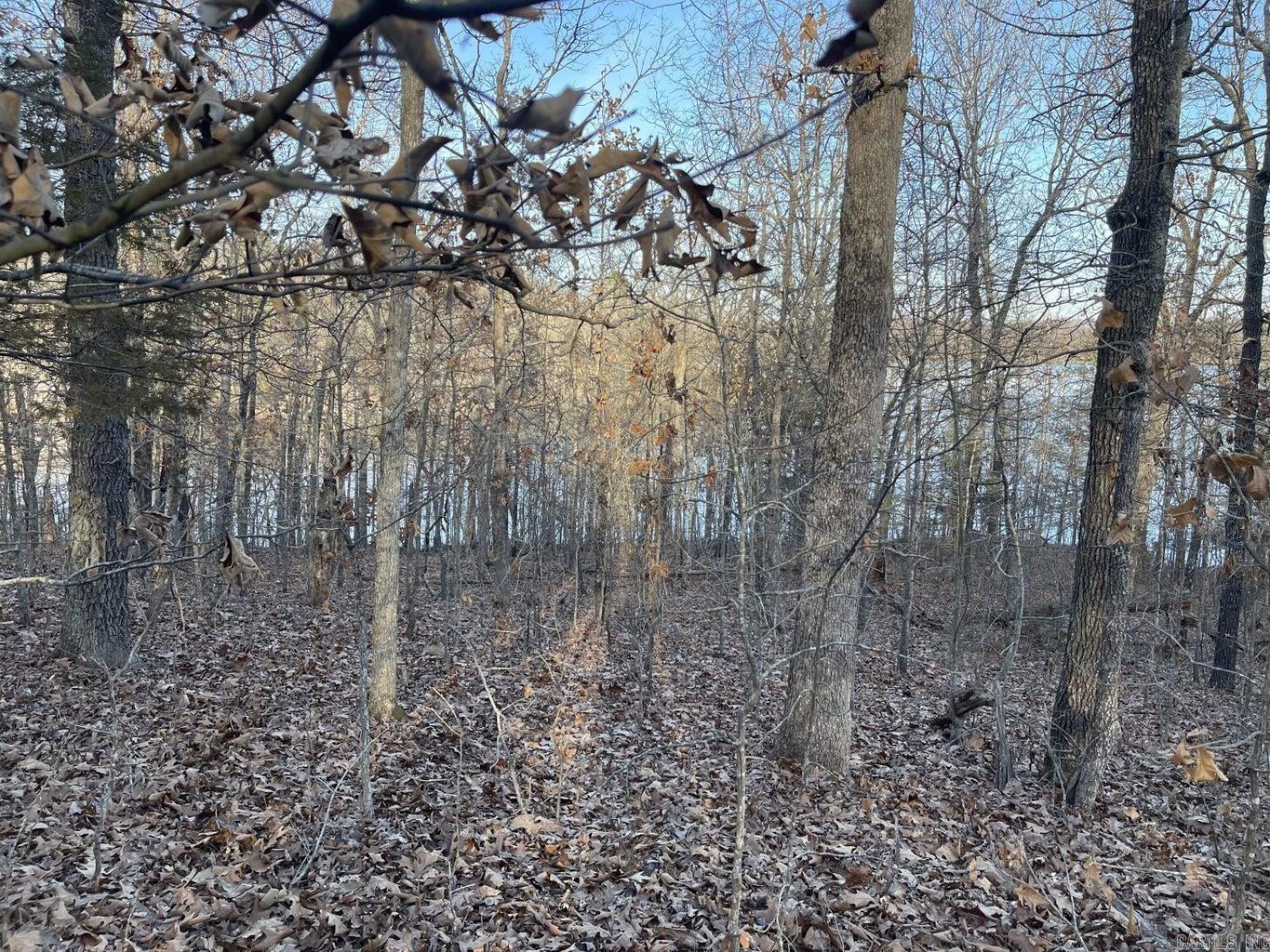 00  Chesapeake  Cherokee Village, AR