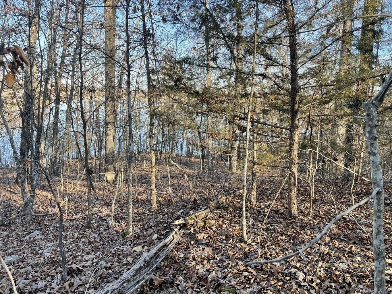 00  Chesapeake  Cherokee Village, AR