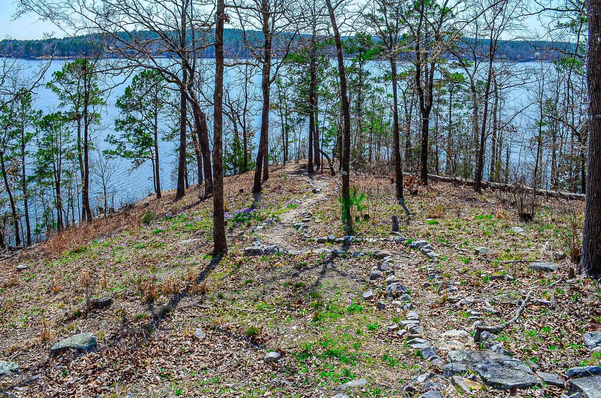 3  Coronado Trace  Hot Springs Village, AR