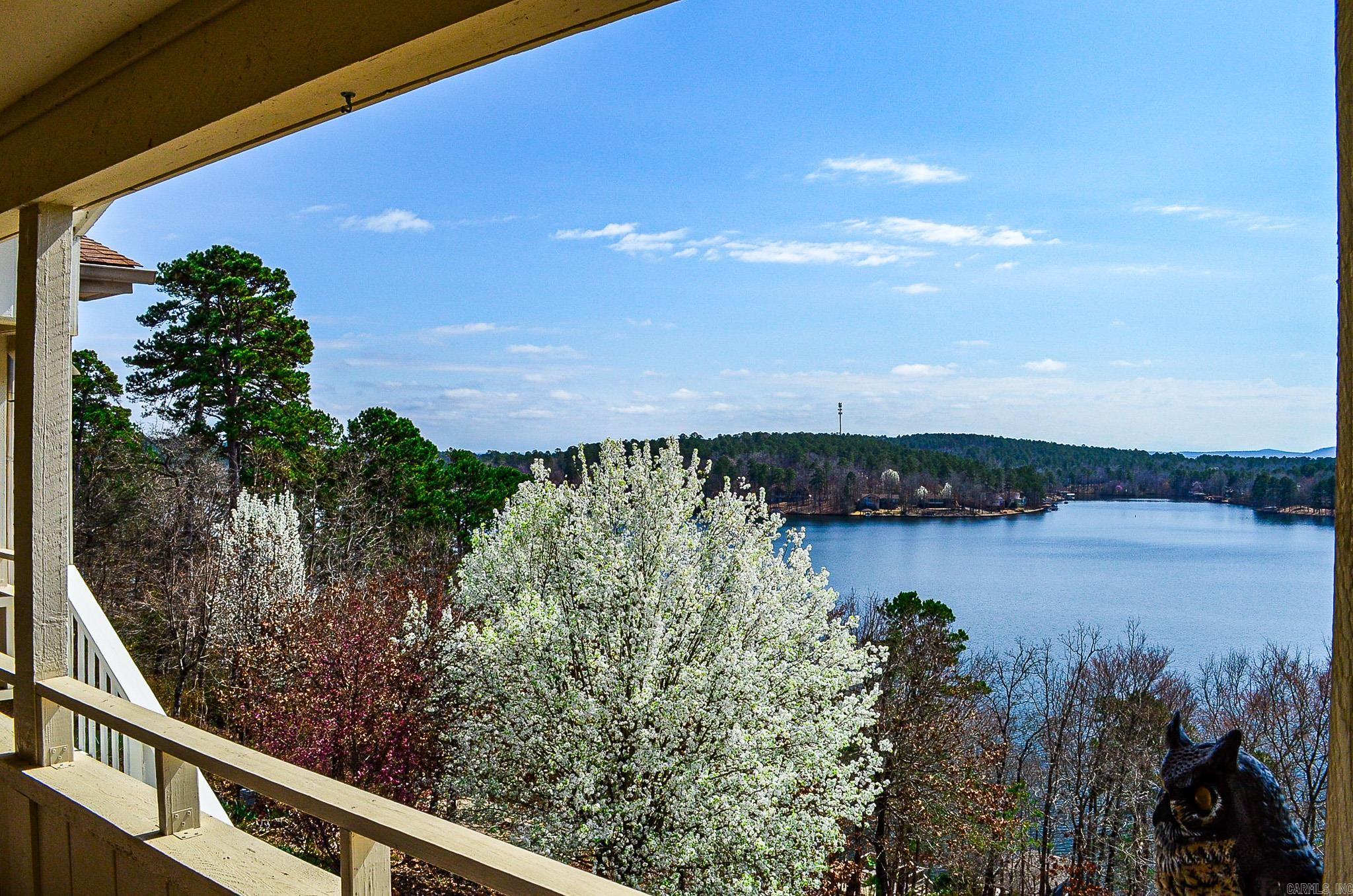 3  Coronado Trace  Hot Springs Village, AR