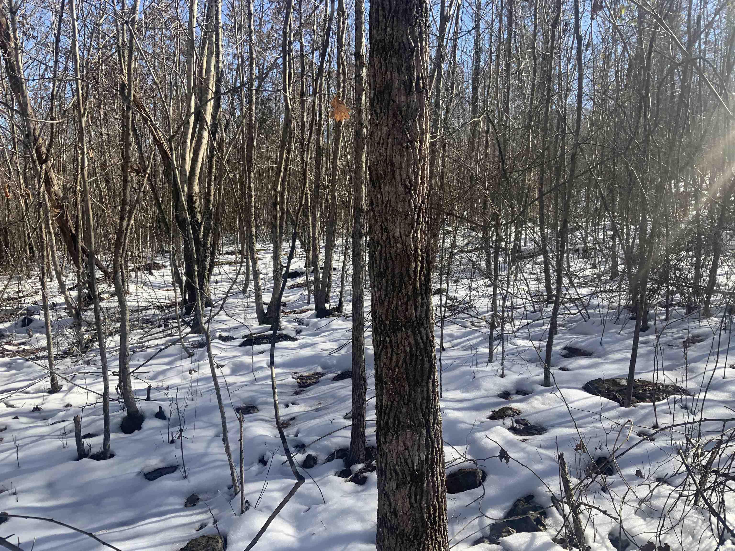 000  Pine Tree  Edgemont, AR