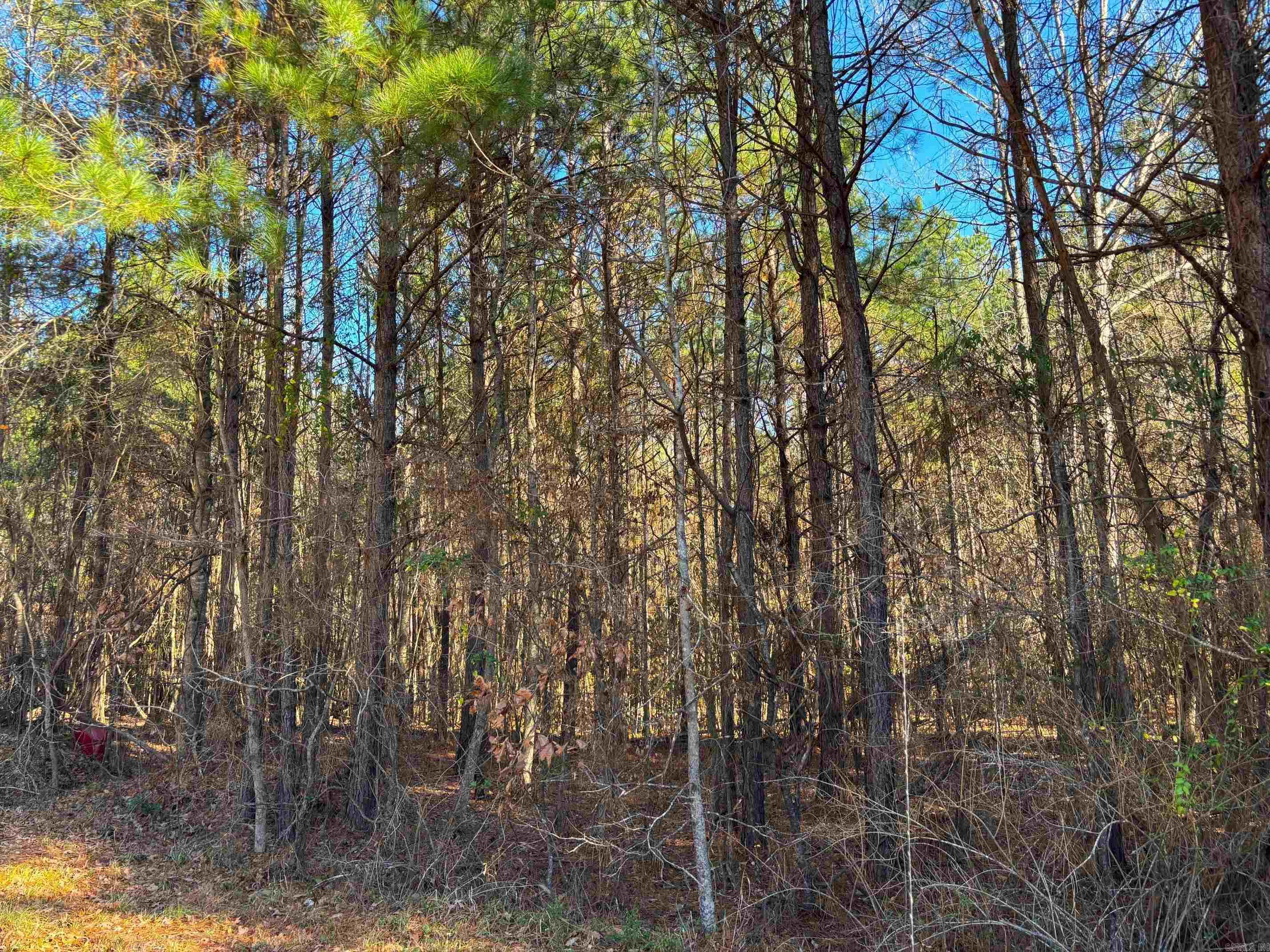 84  Grant 733  Sheridan, AR