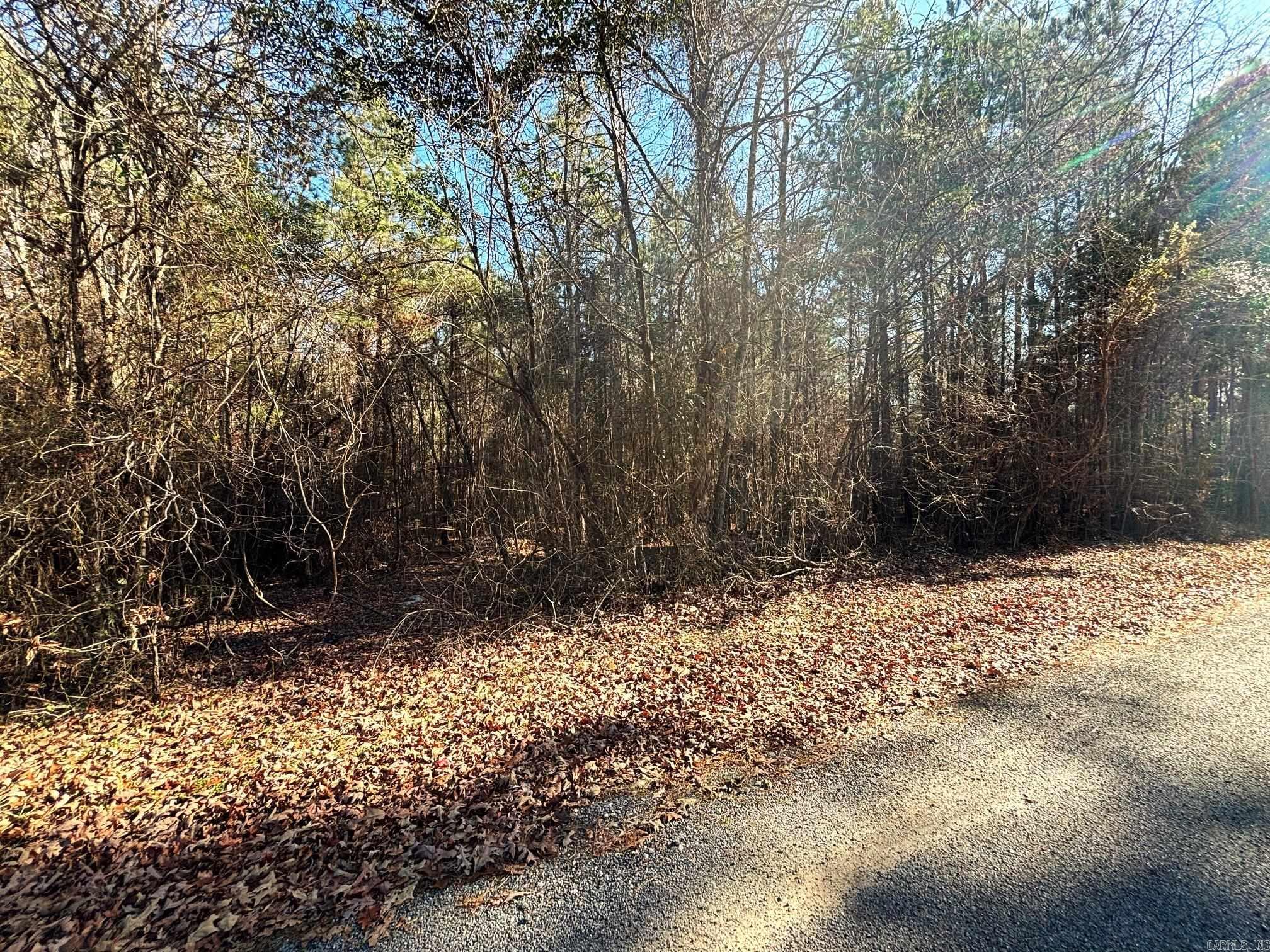 84  Grant 733  Sheridan, AR
