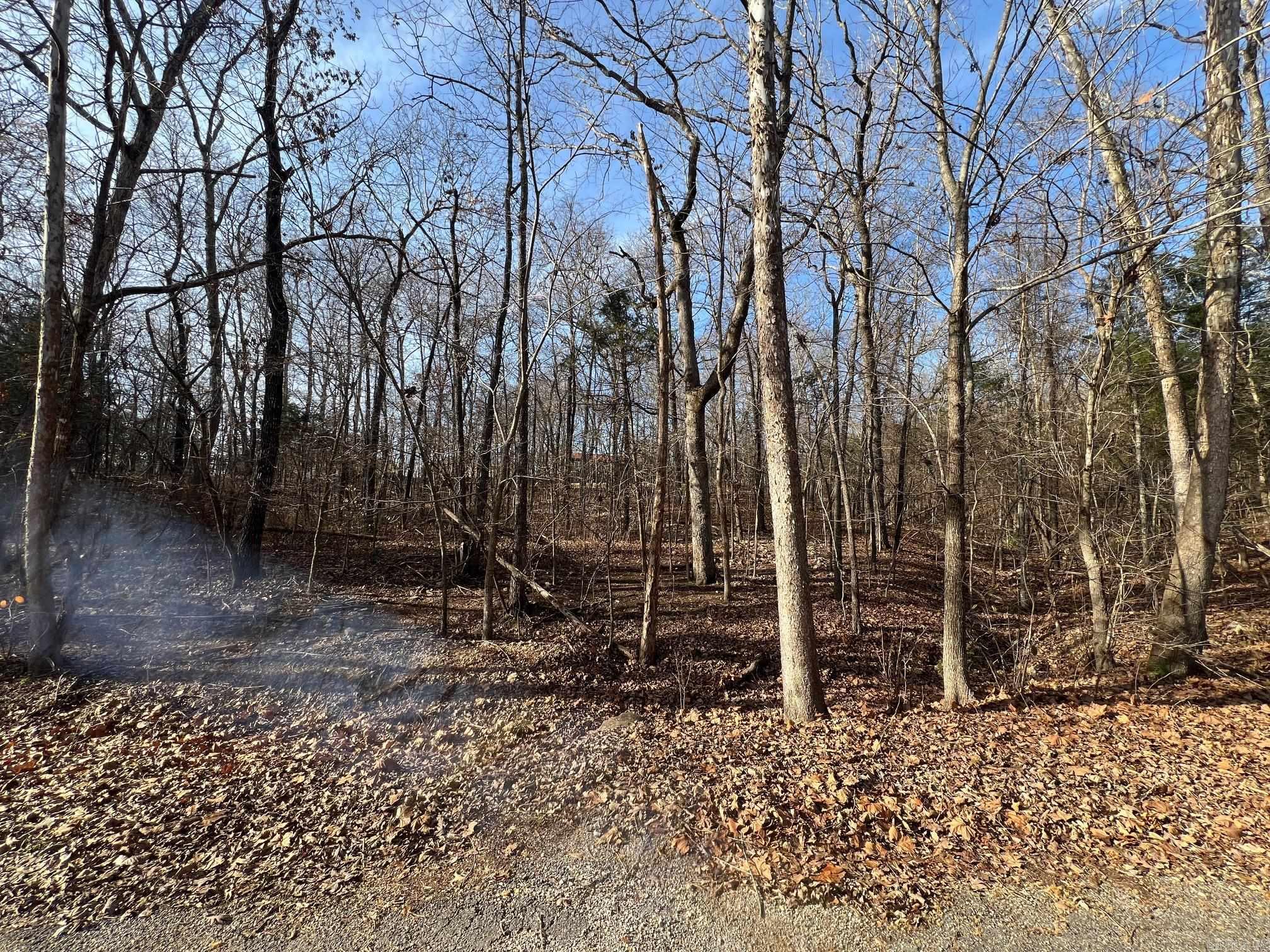 Lot 9  Kewe  Cherokee Village, AR