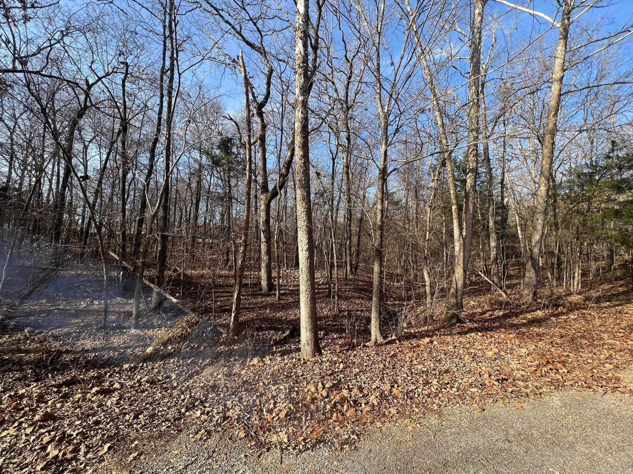 Lot 9  Kewe  Cherokee Village, AR
