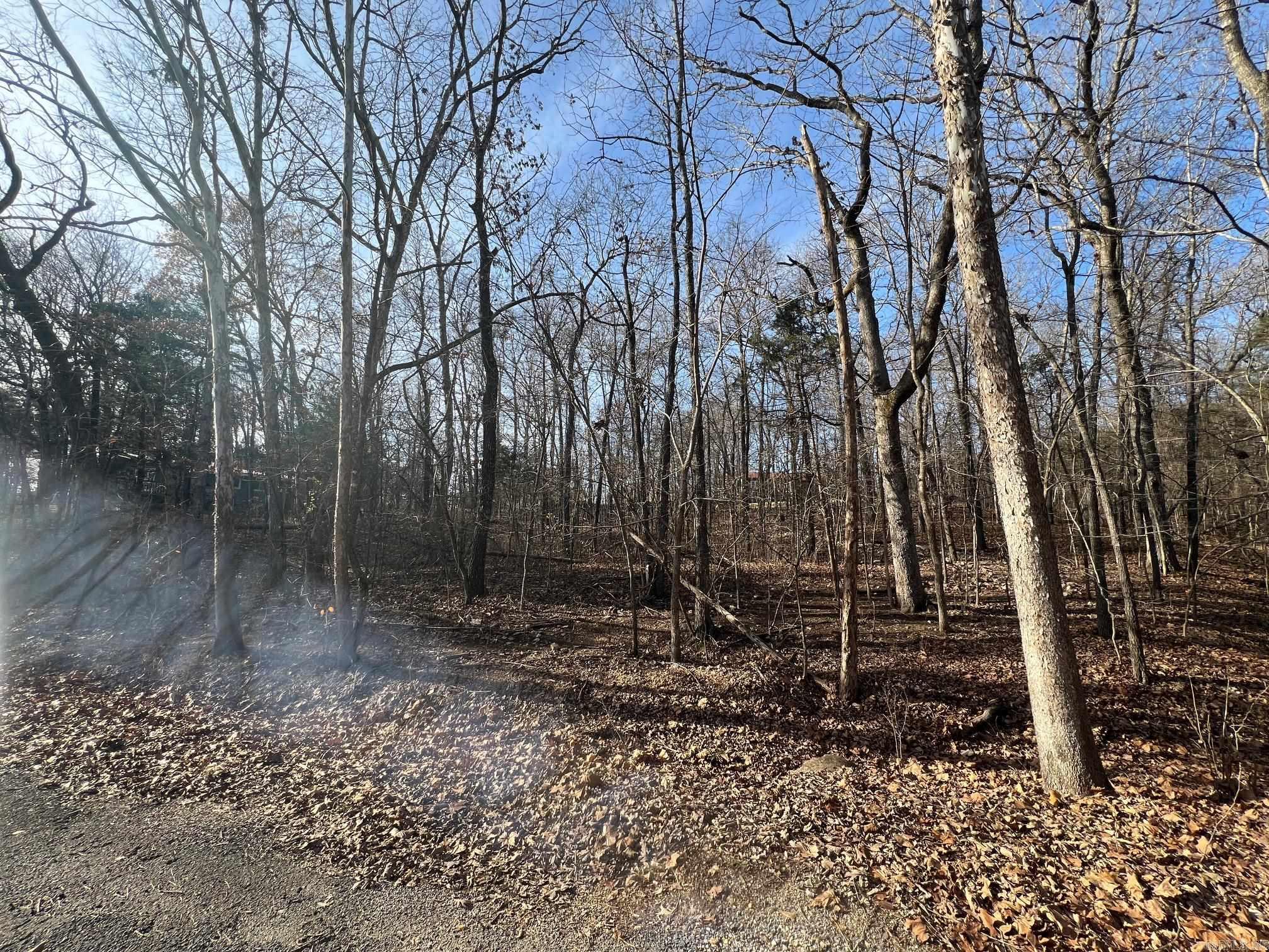 Lot 9  Kewe  Cherokee Village, AR