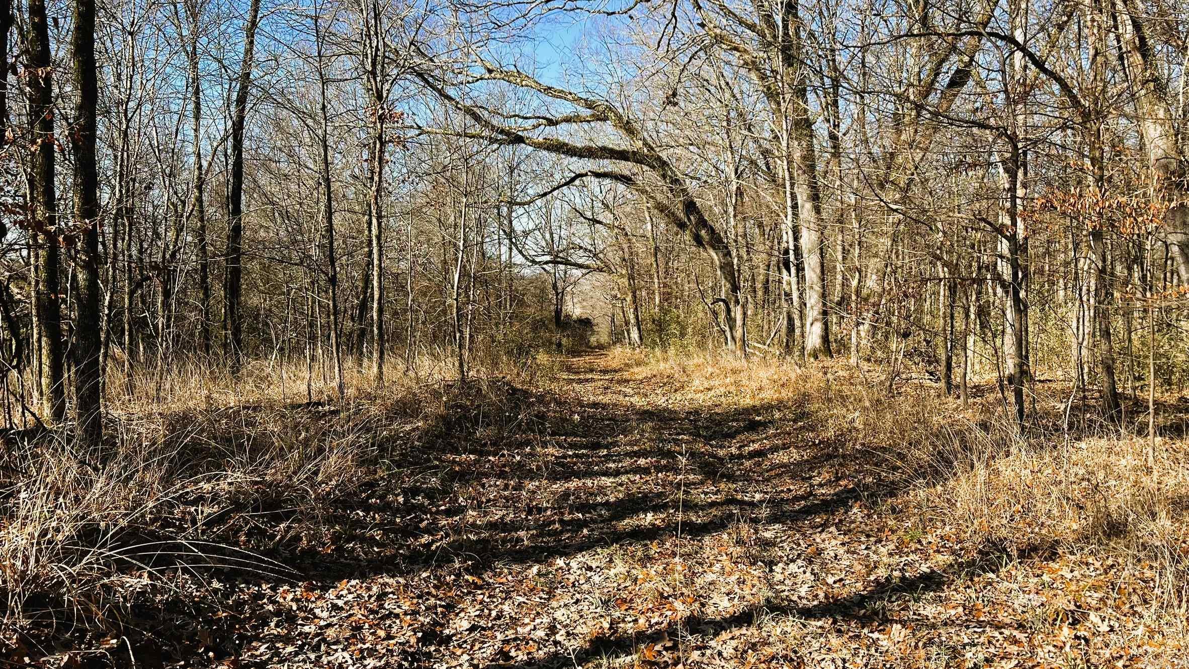00  Lee 215  La Grange, AR