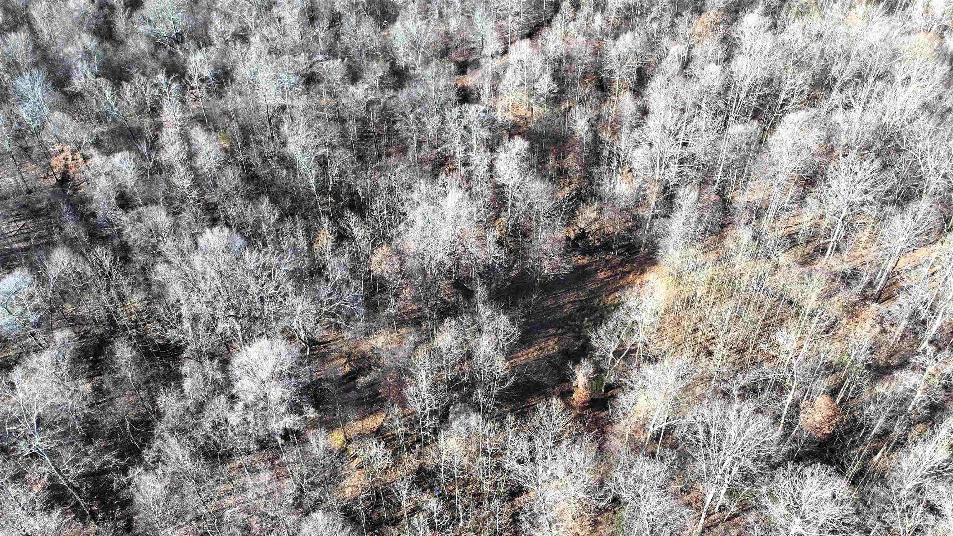 00  Lee 215  La Grange, AR