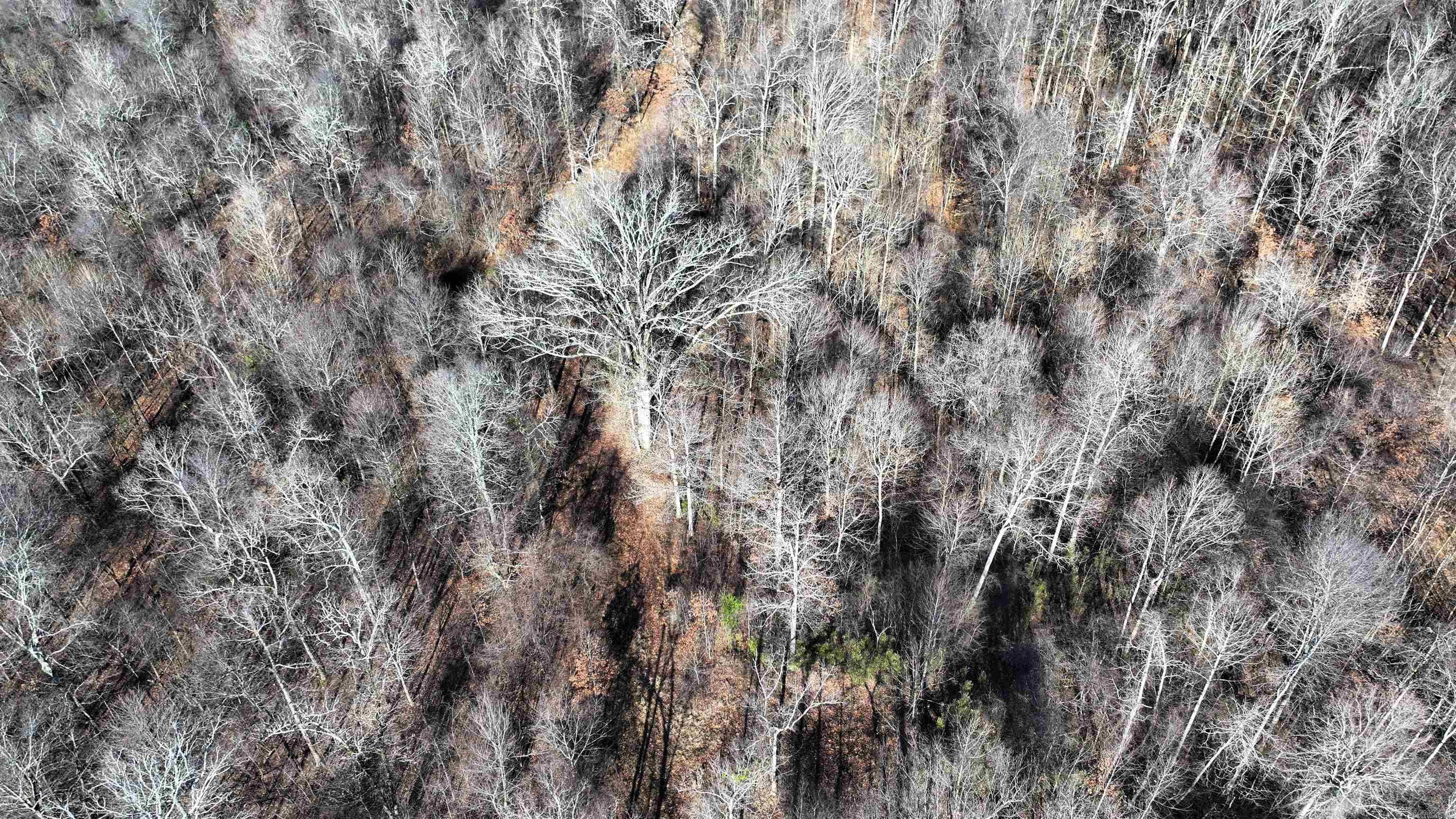 00  Lee 215  La Grange, AR
