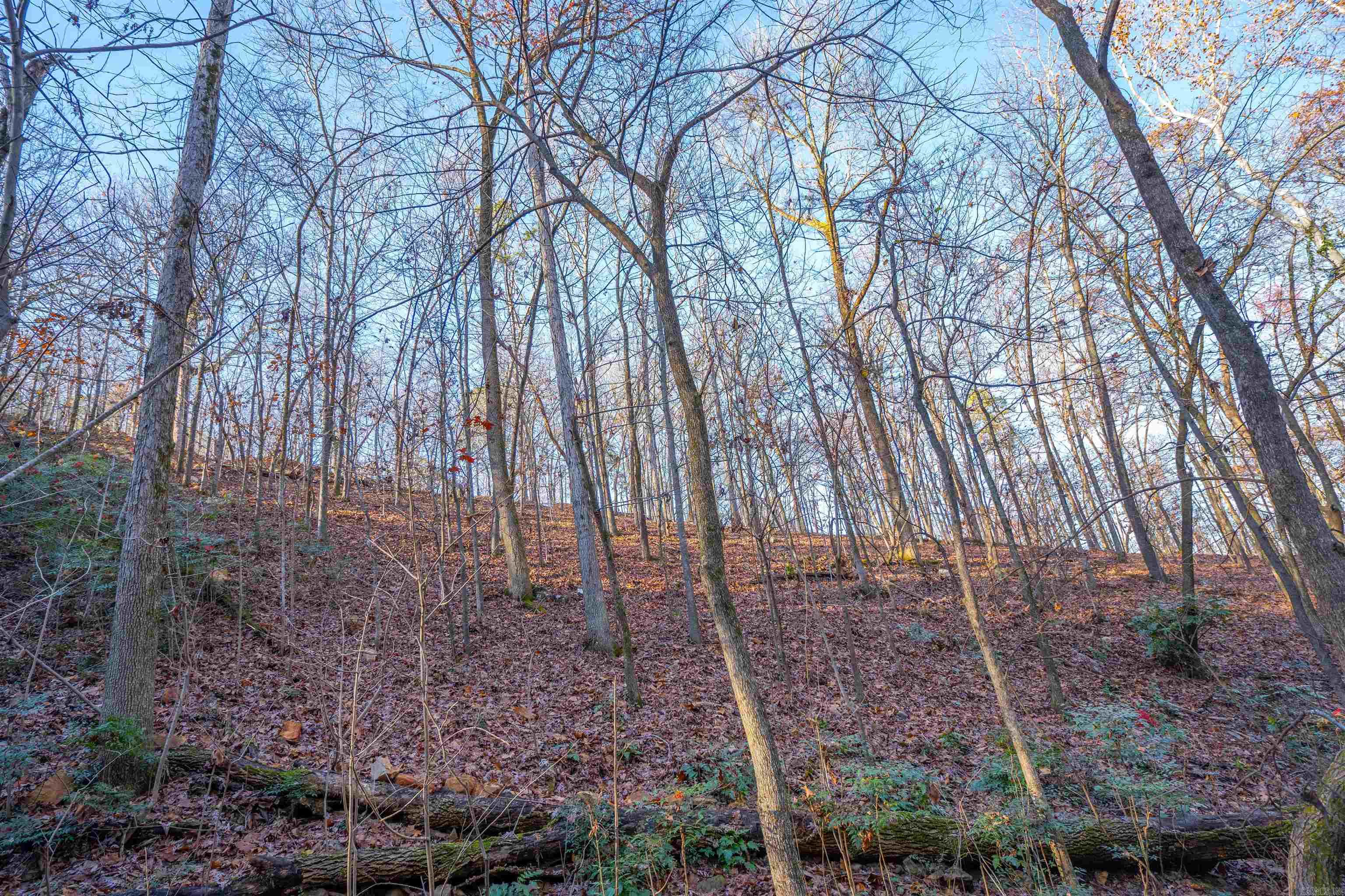 10  Greathouse  Little Rock, AR
