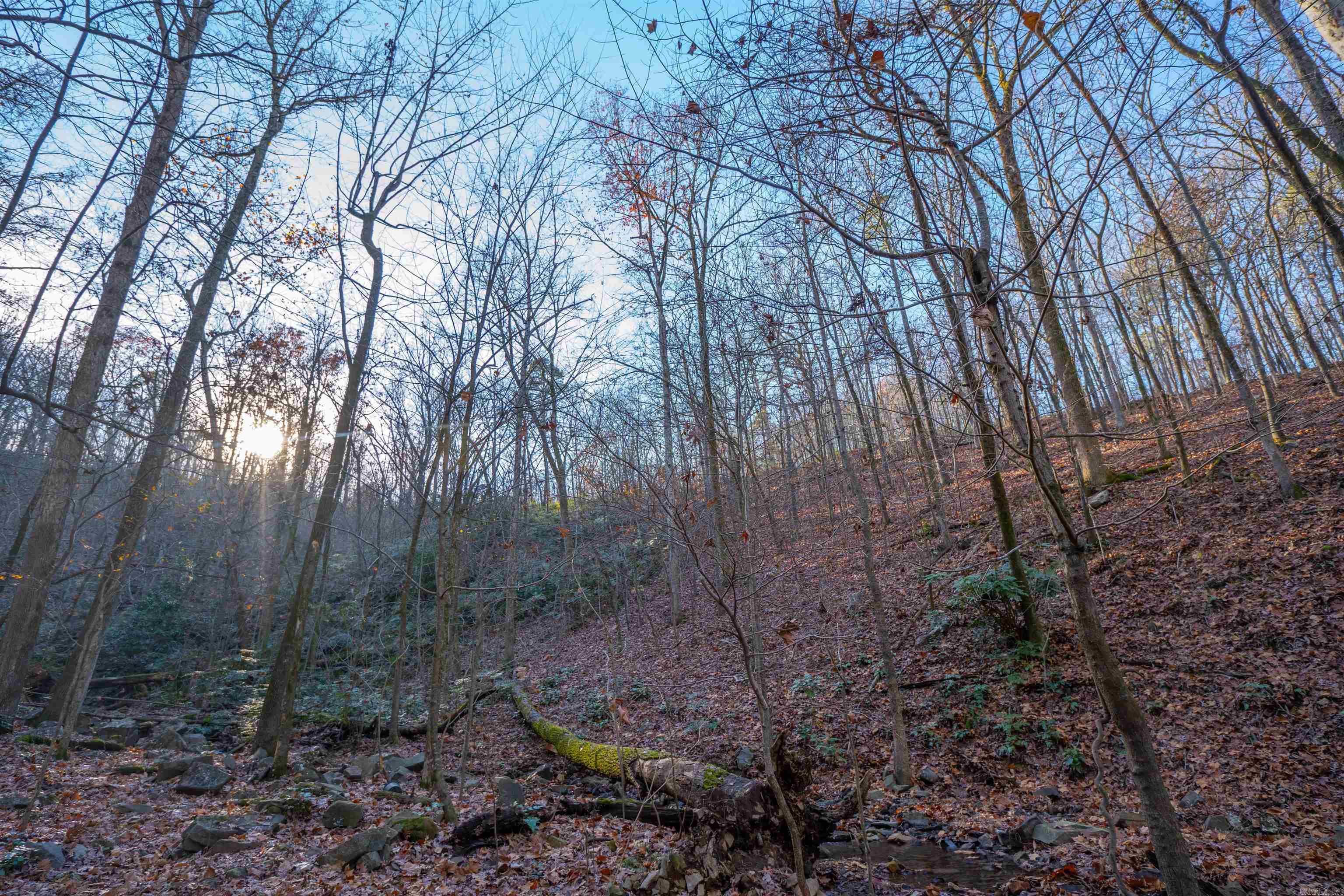 10  Greathouse  Little Rock, AR