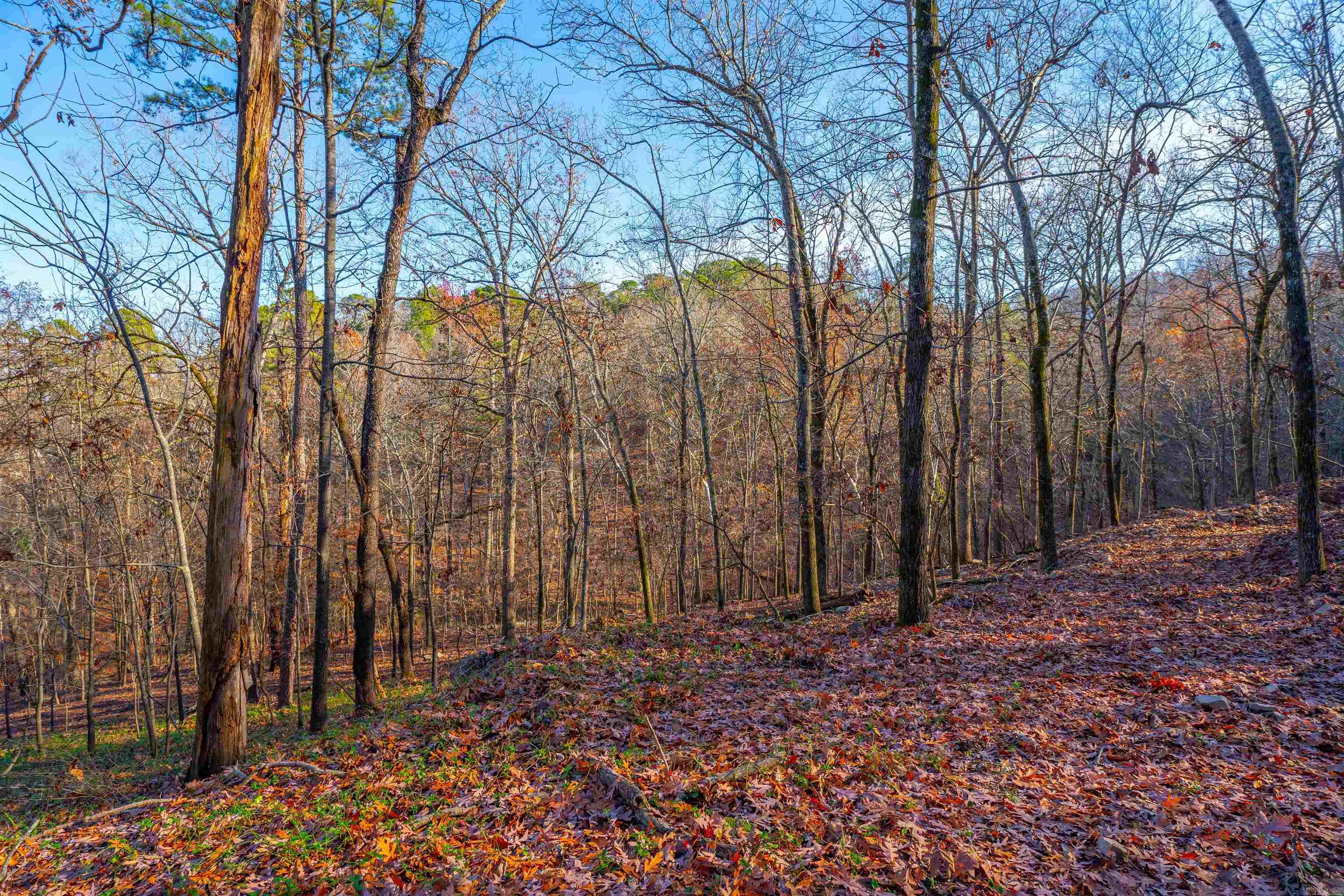 10  Greathouse  Little Rock, AR