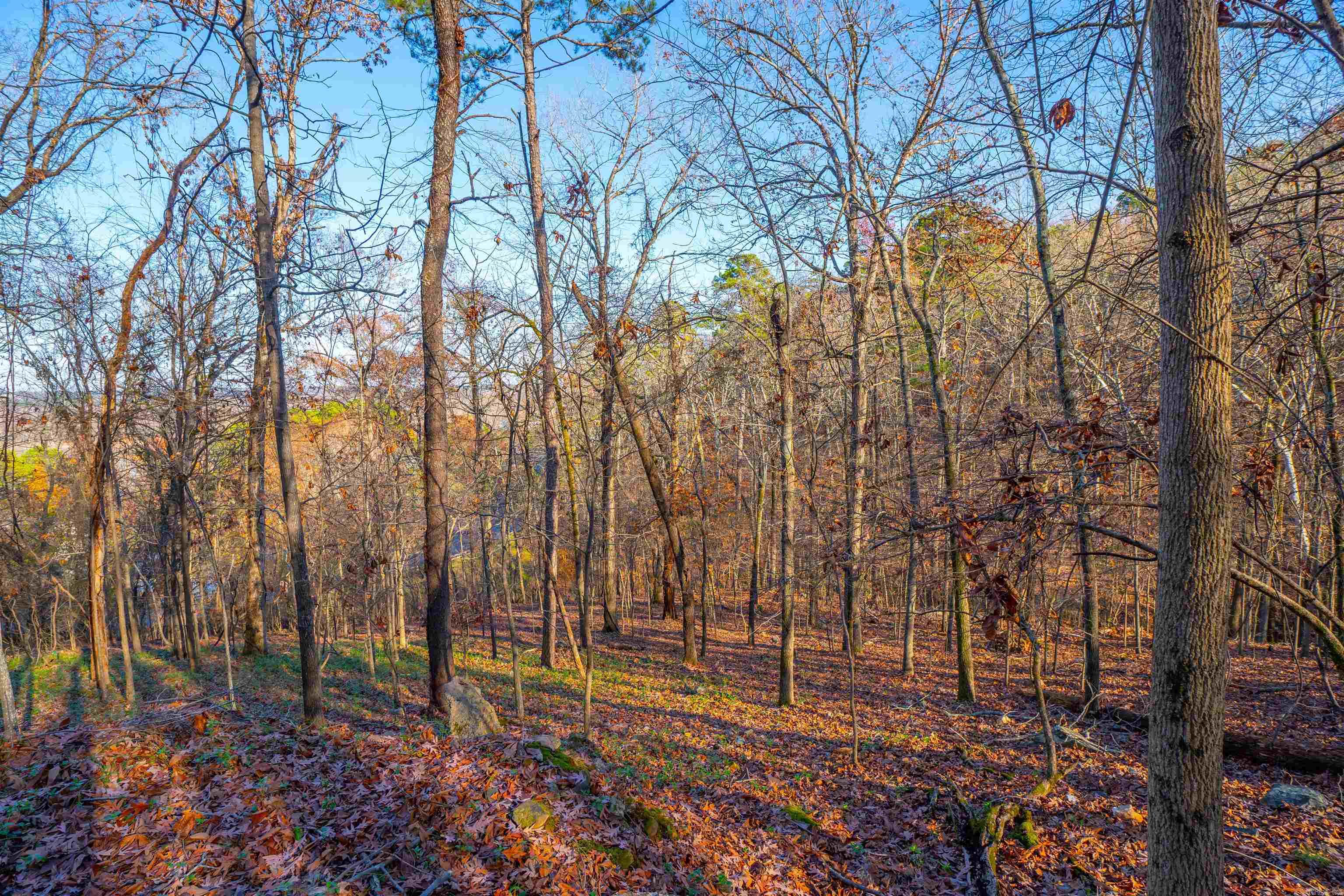 10  Greathouse  Little Rock, AR