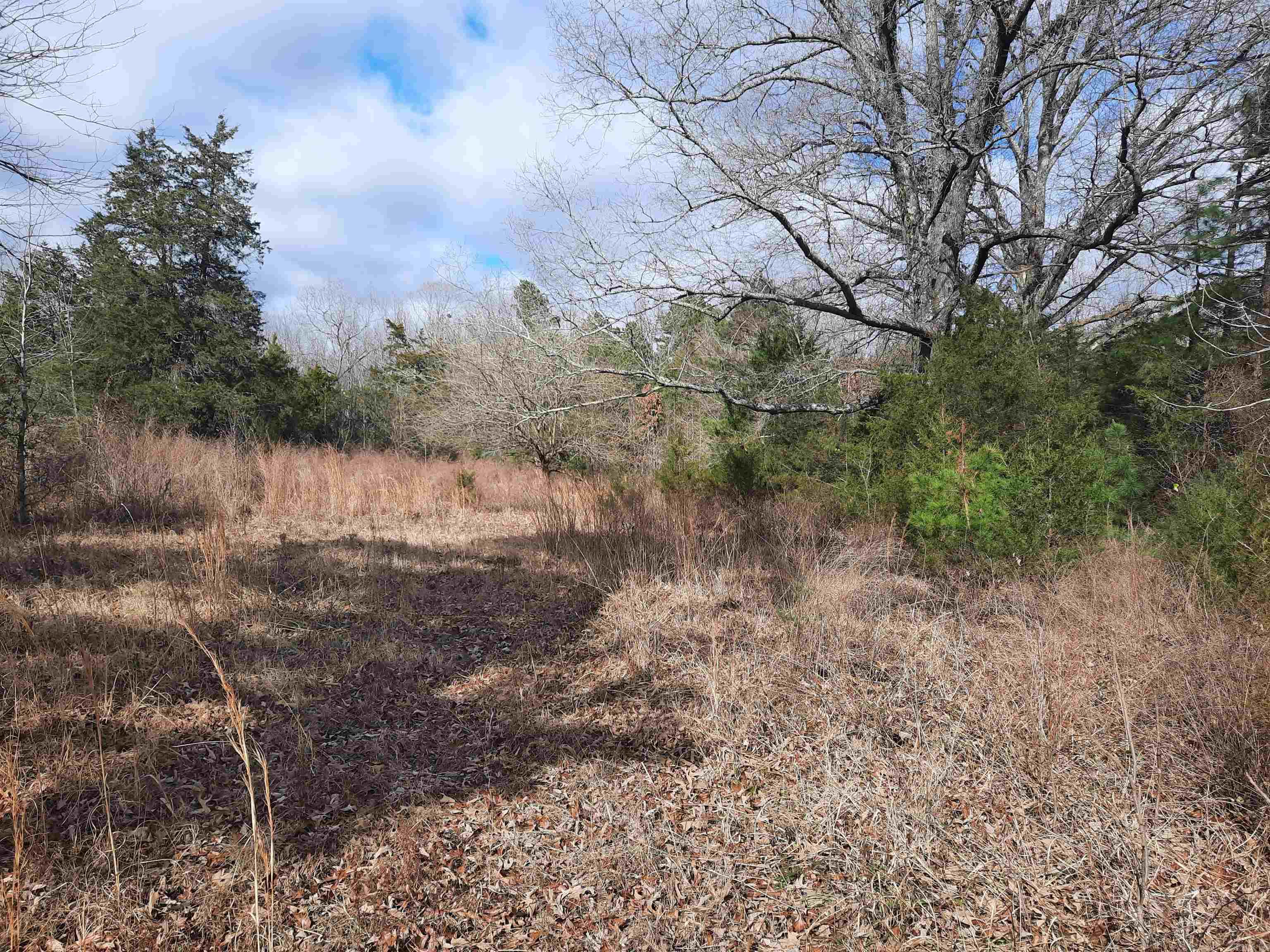 544 Rocky Road Mountain View, AR 72560