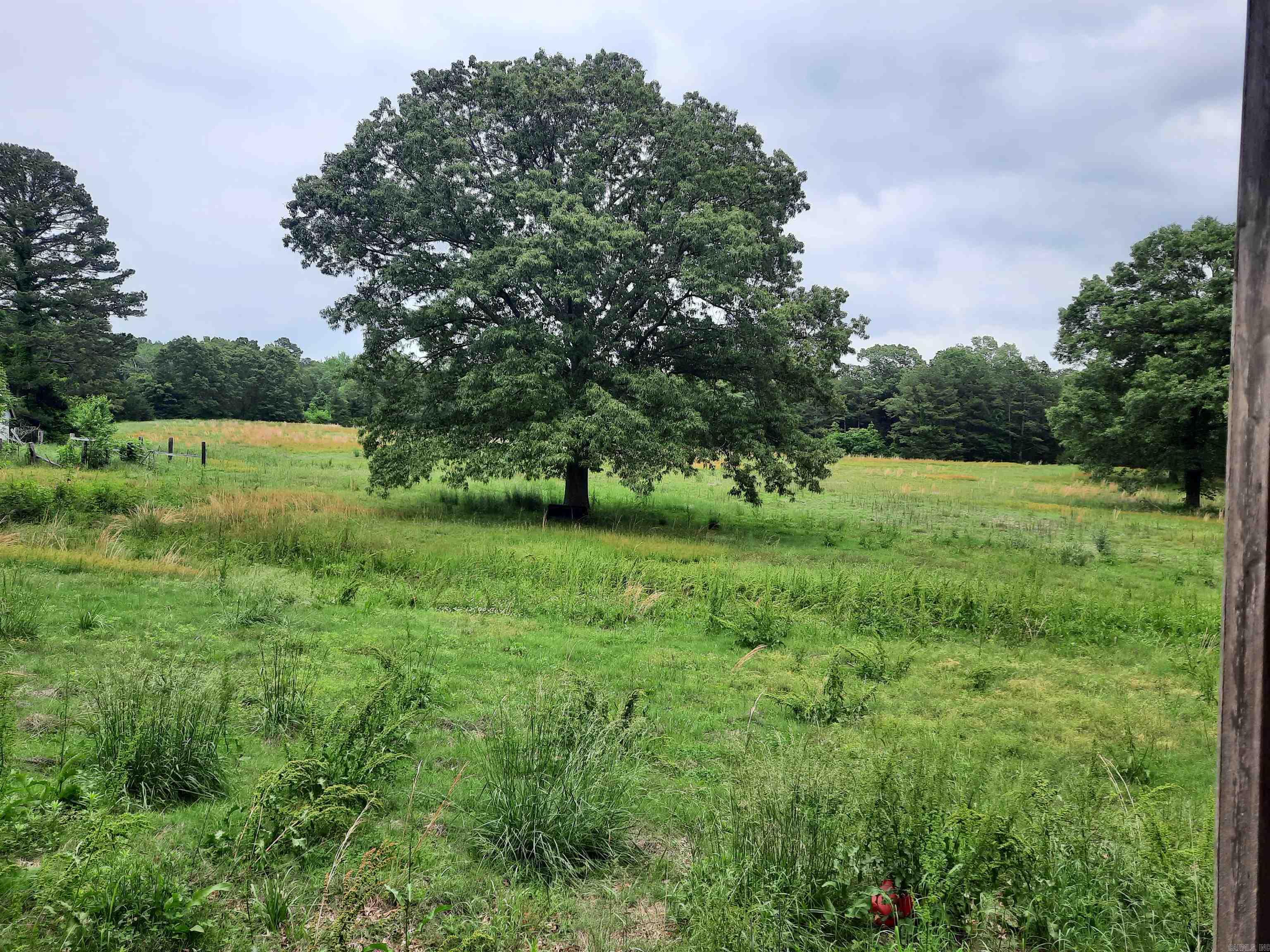 544 Rocky Road Mountain View, AR 72560