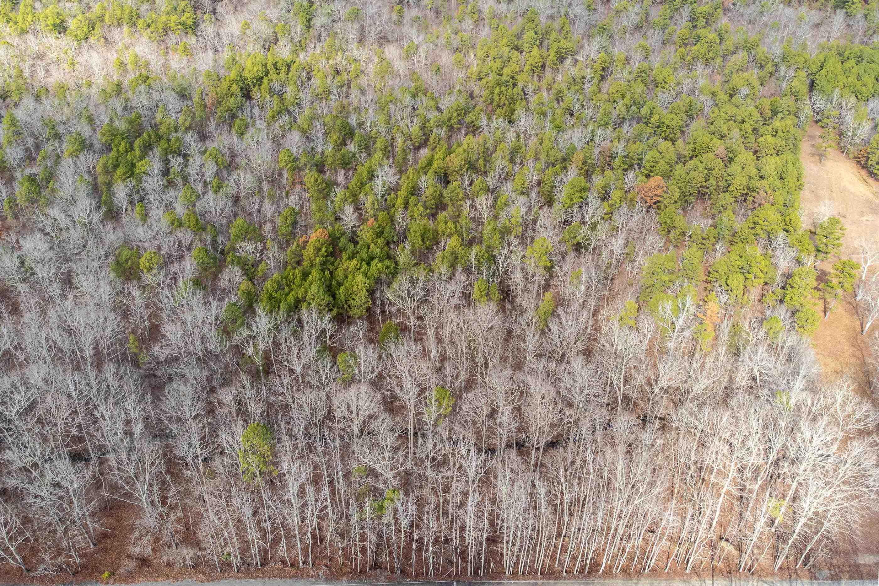 00  Horseshoe Mountain  Paron, AR