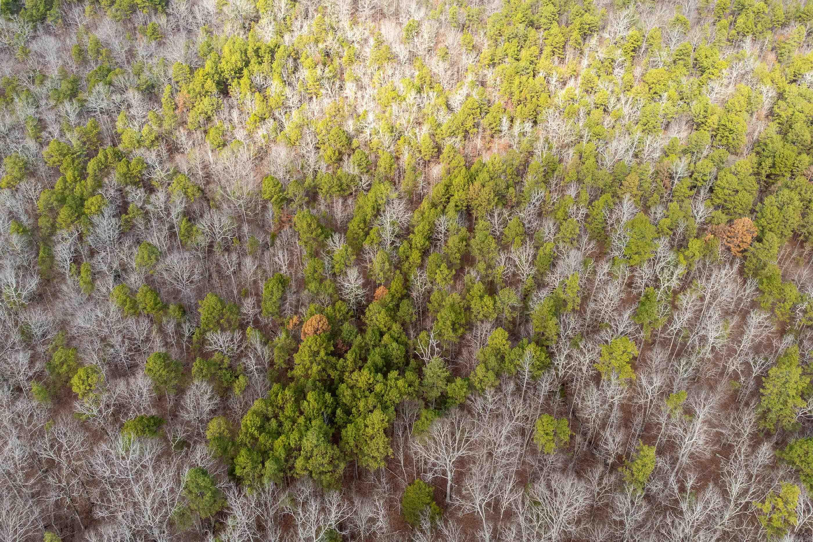 00  Horseshoe Mountain  Paron, AR