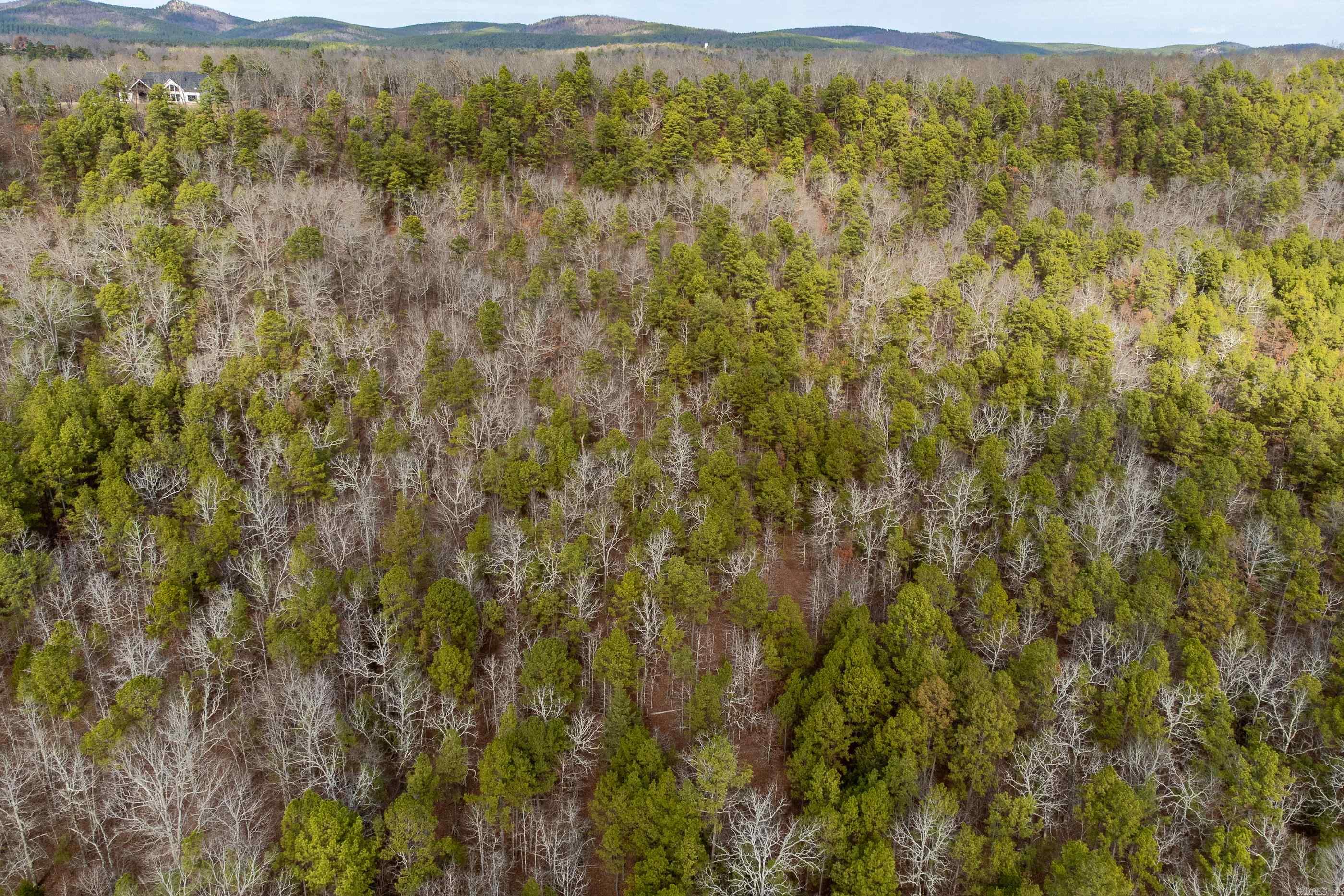 00  Horseshoe Mountain  Paron, AR