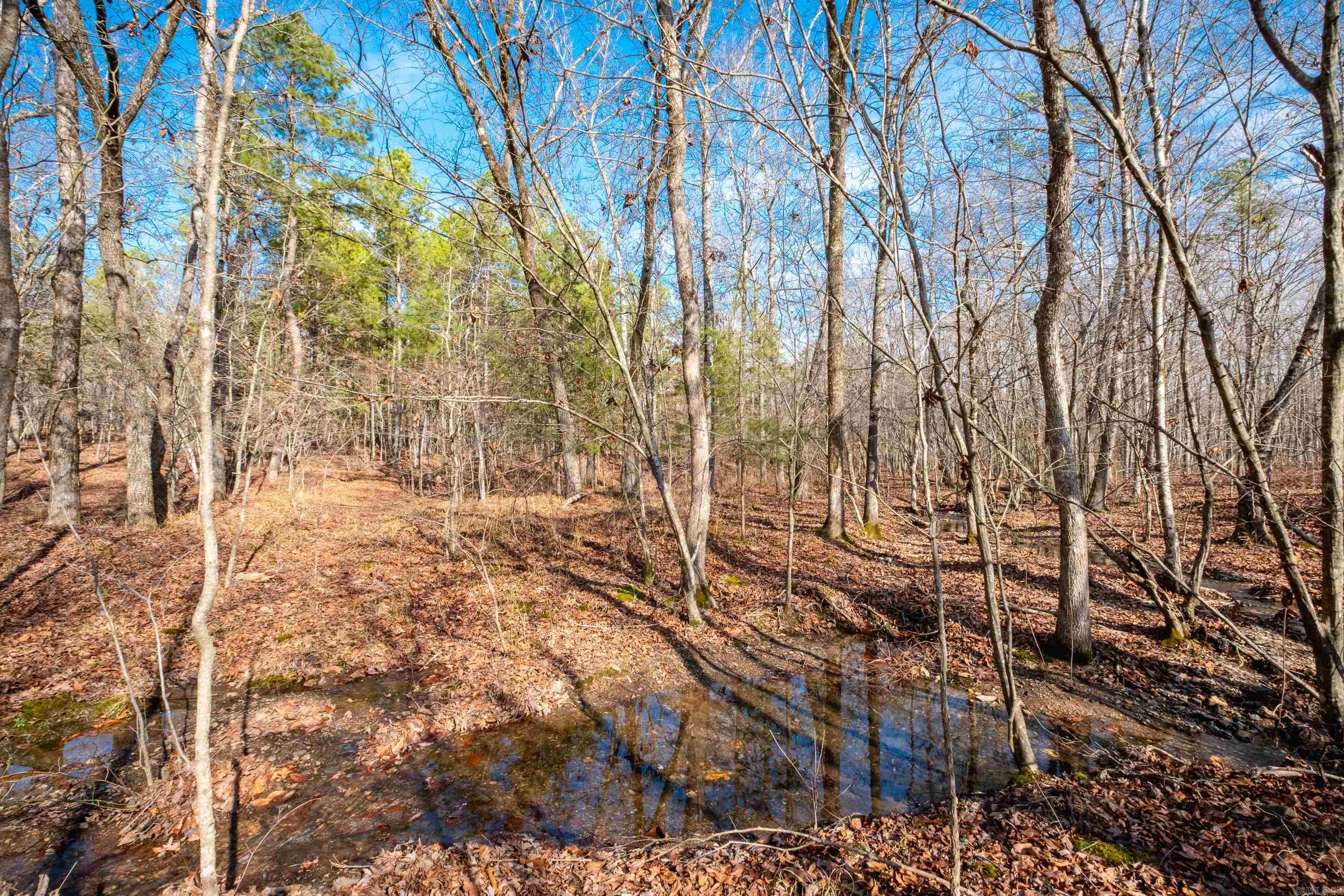 00  Horseshoe Mountain  Paron, AR