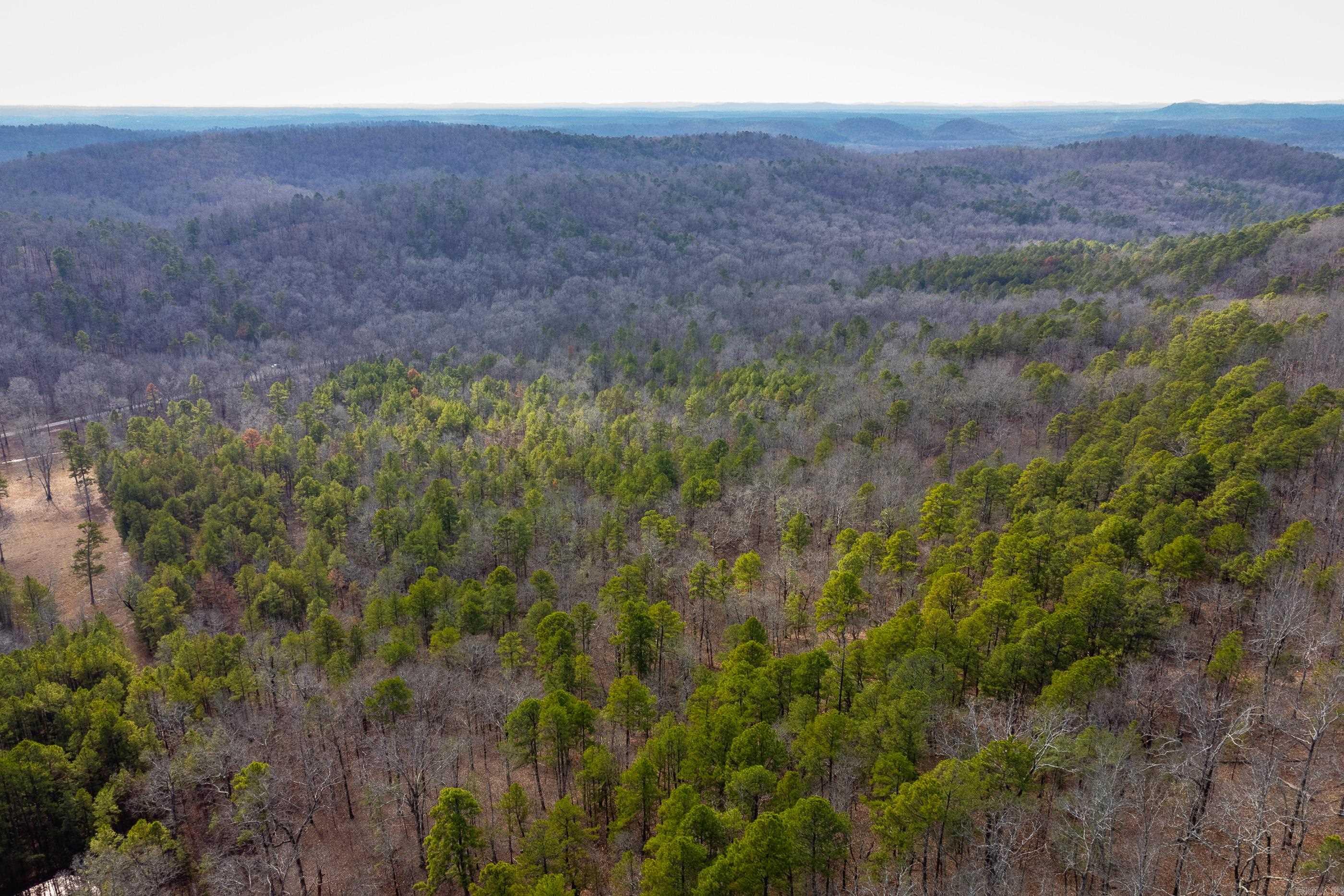 00  Horseshoe Mountain  Paron, AR