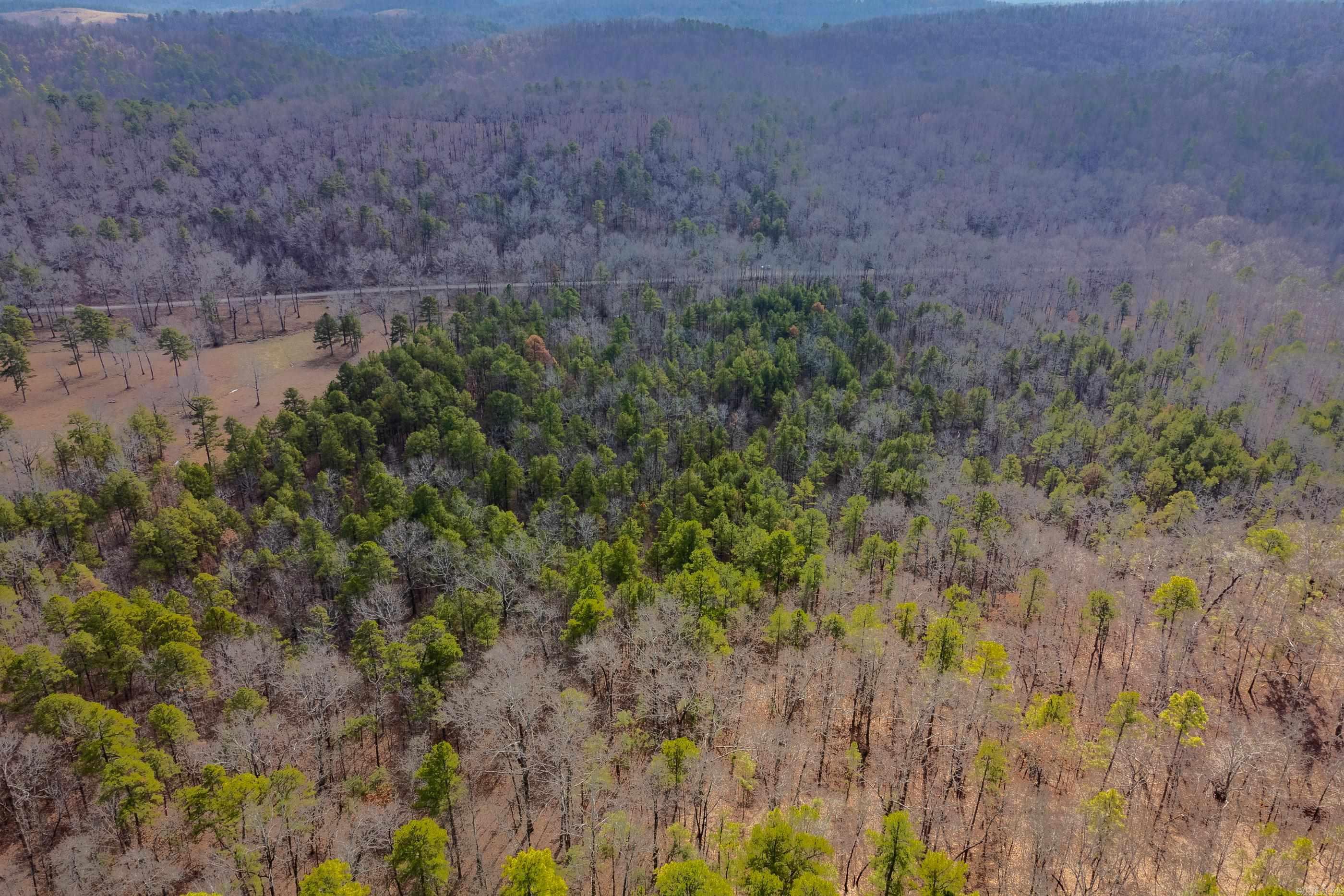 00  Horseshoe Mountain  Paron, AR