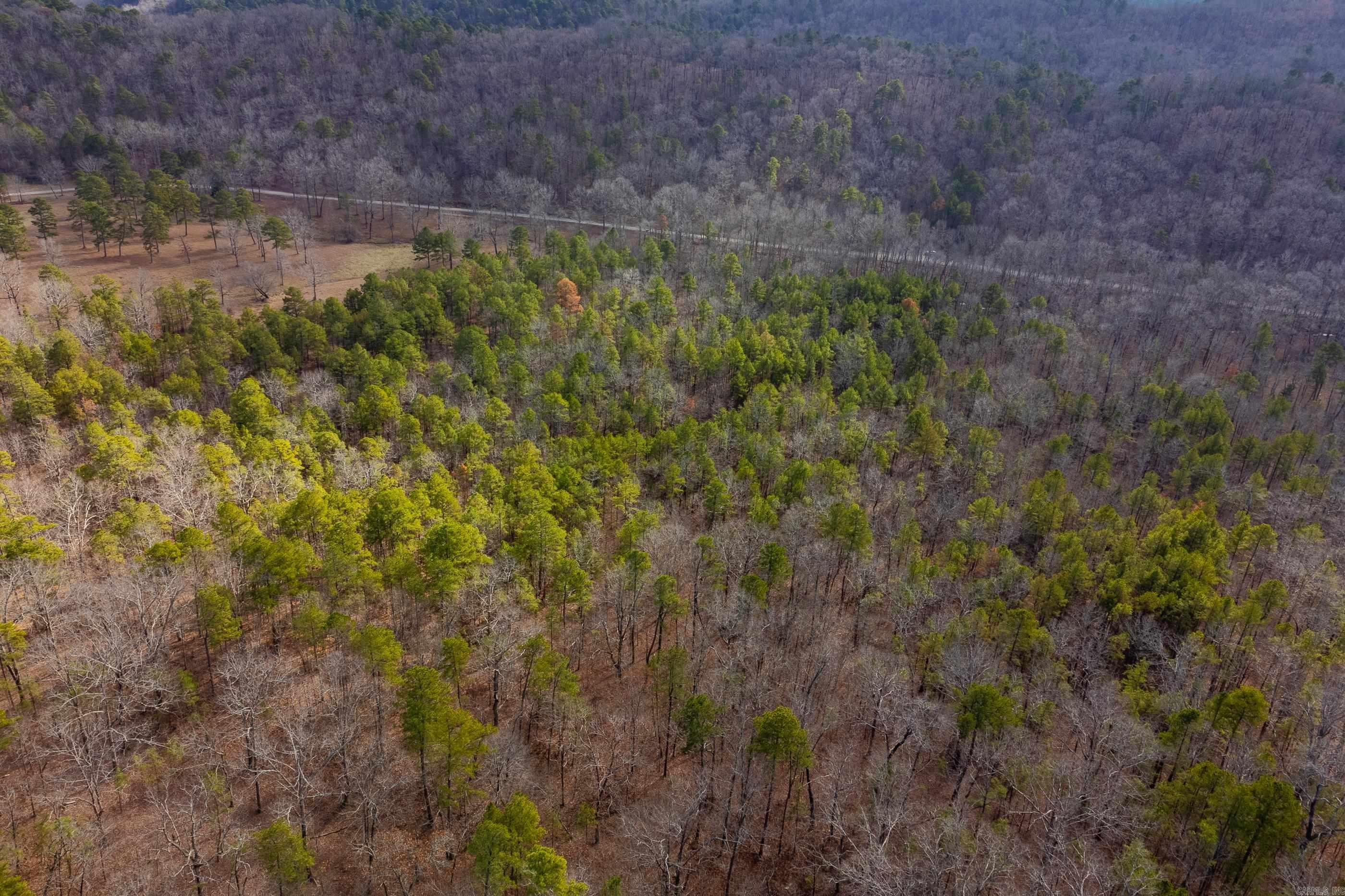 00  Horseshoe Mountain  Paron, AR