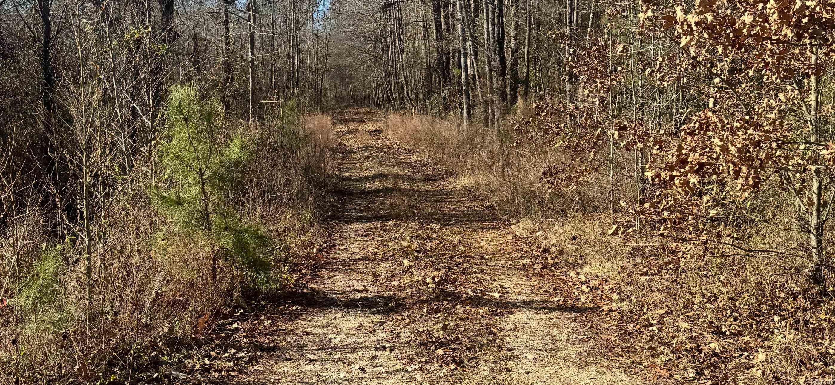 500  R R Tram - Left side - front  Traskwood, AR