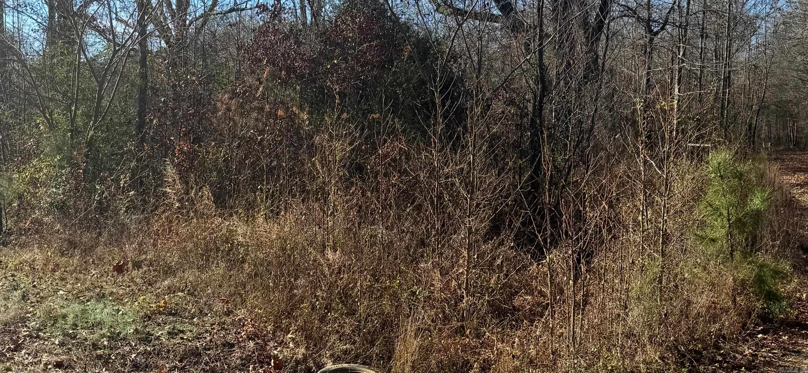 500  R R Tram - Left side - front  Traskwood, AR
