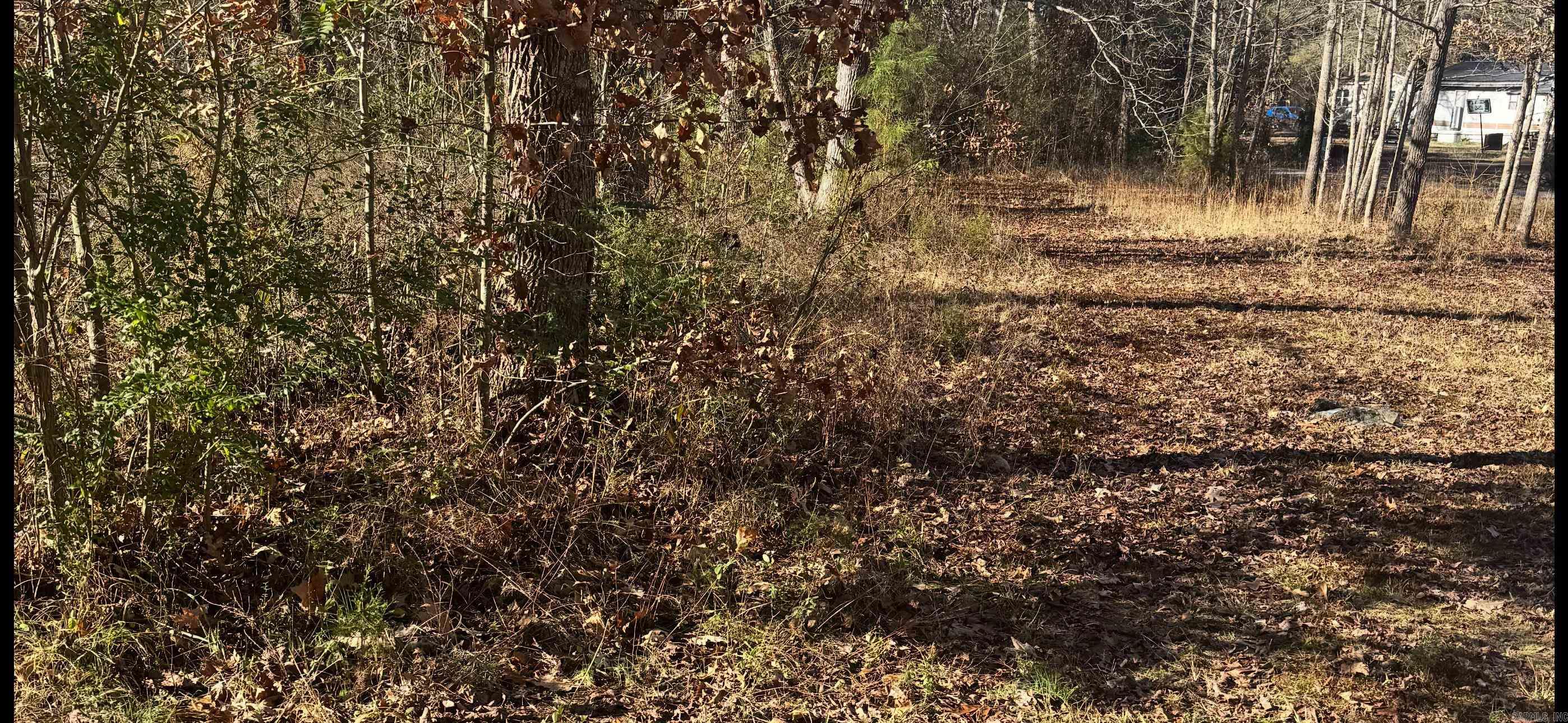 500  R R Tram - Left side - front  Traskwood, AR