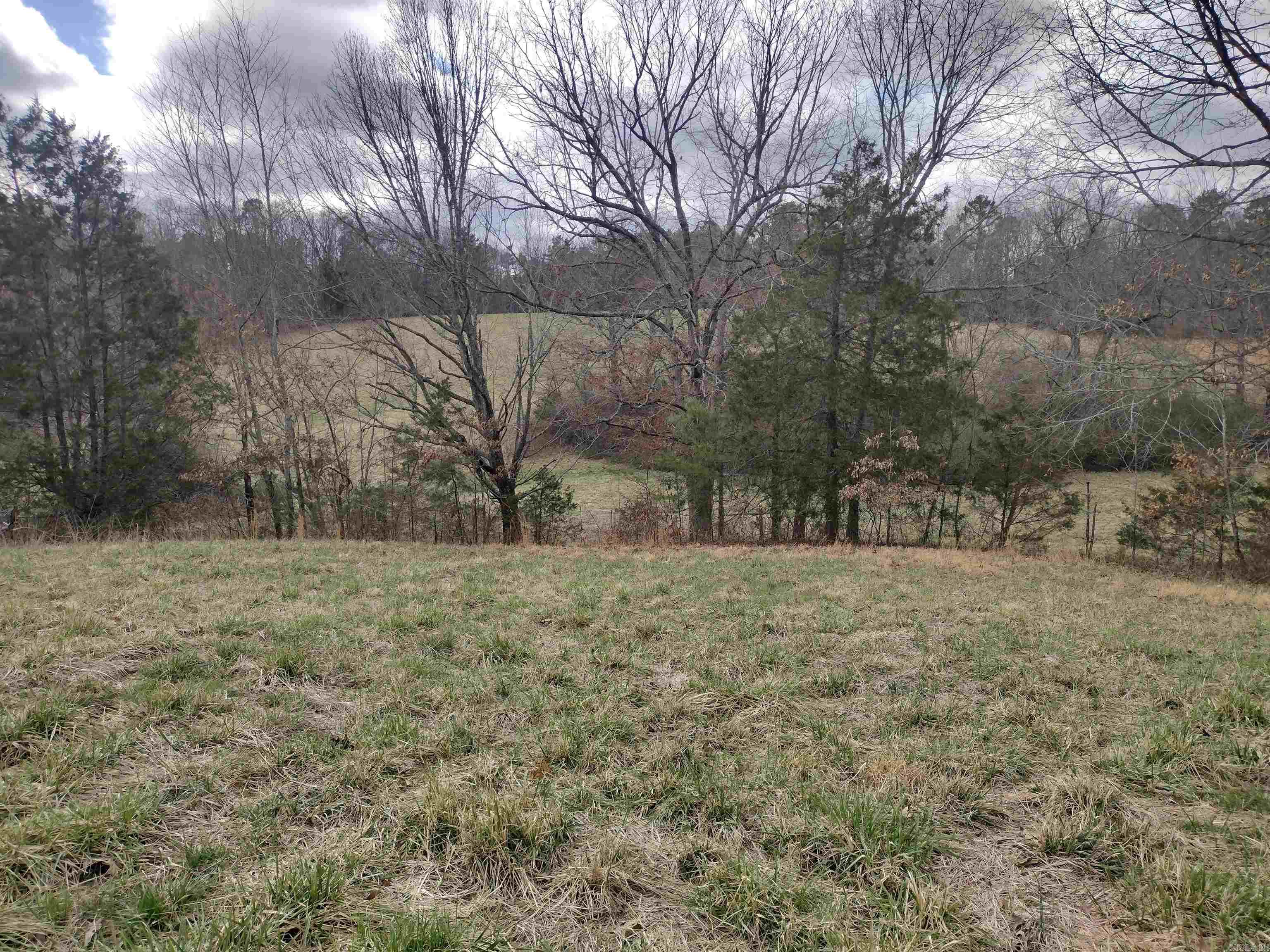 101 Mountain Top Rd Mountain View, AR 72560