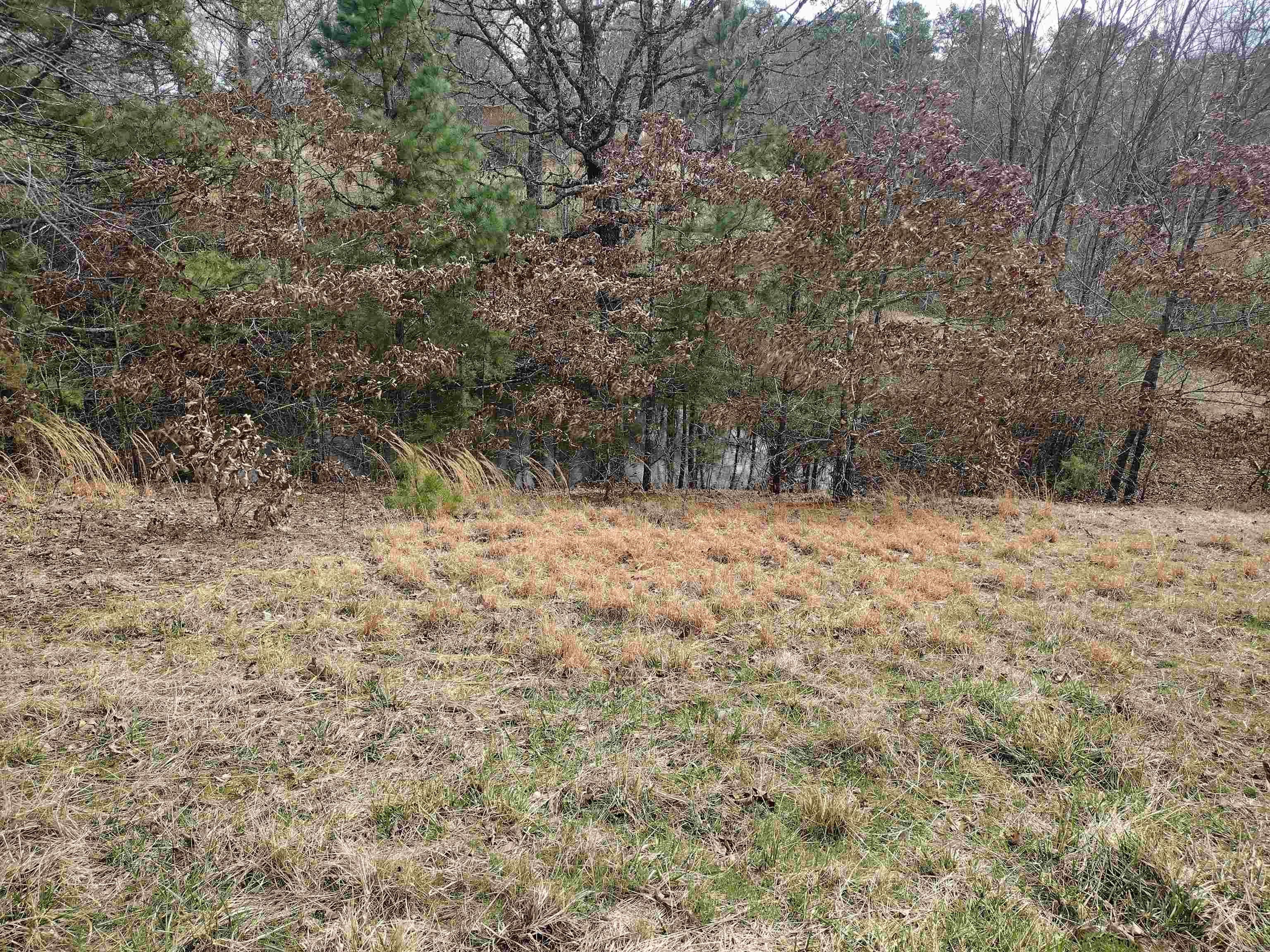 101 Mountain Top Rd Mountain View, AR 72560