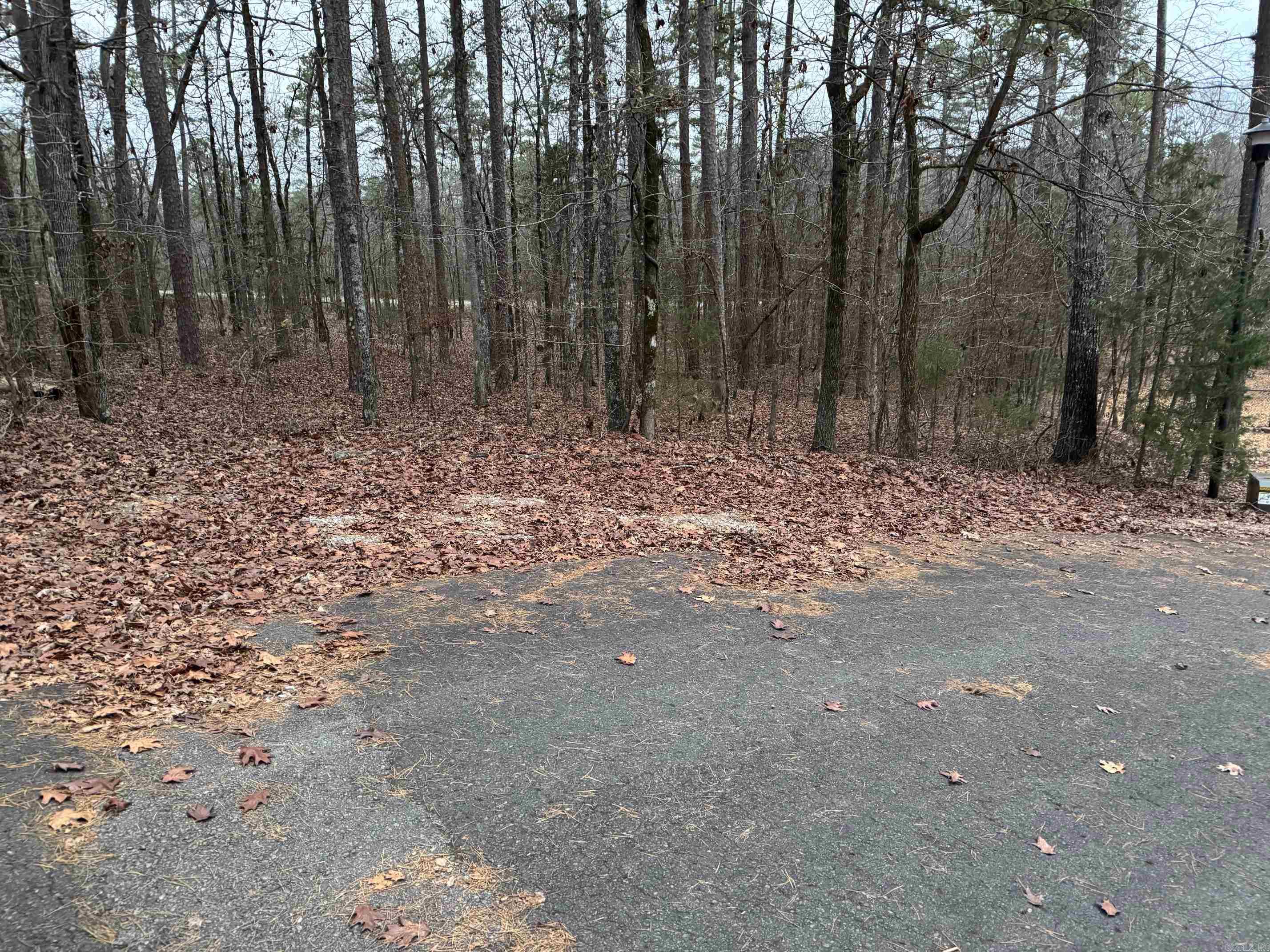 10  BALDUQUE LANE  Hot Springs Village, AR